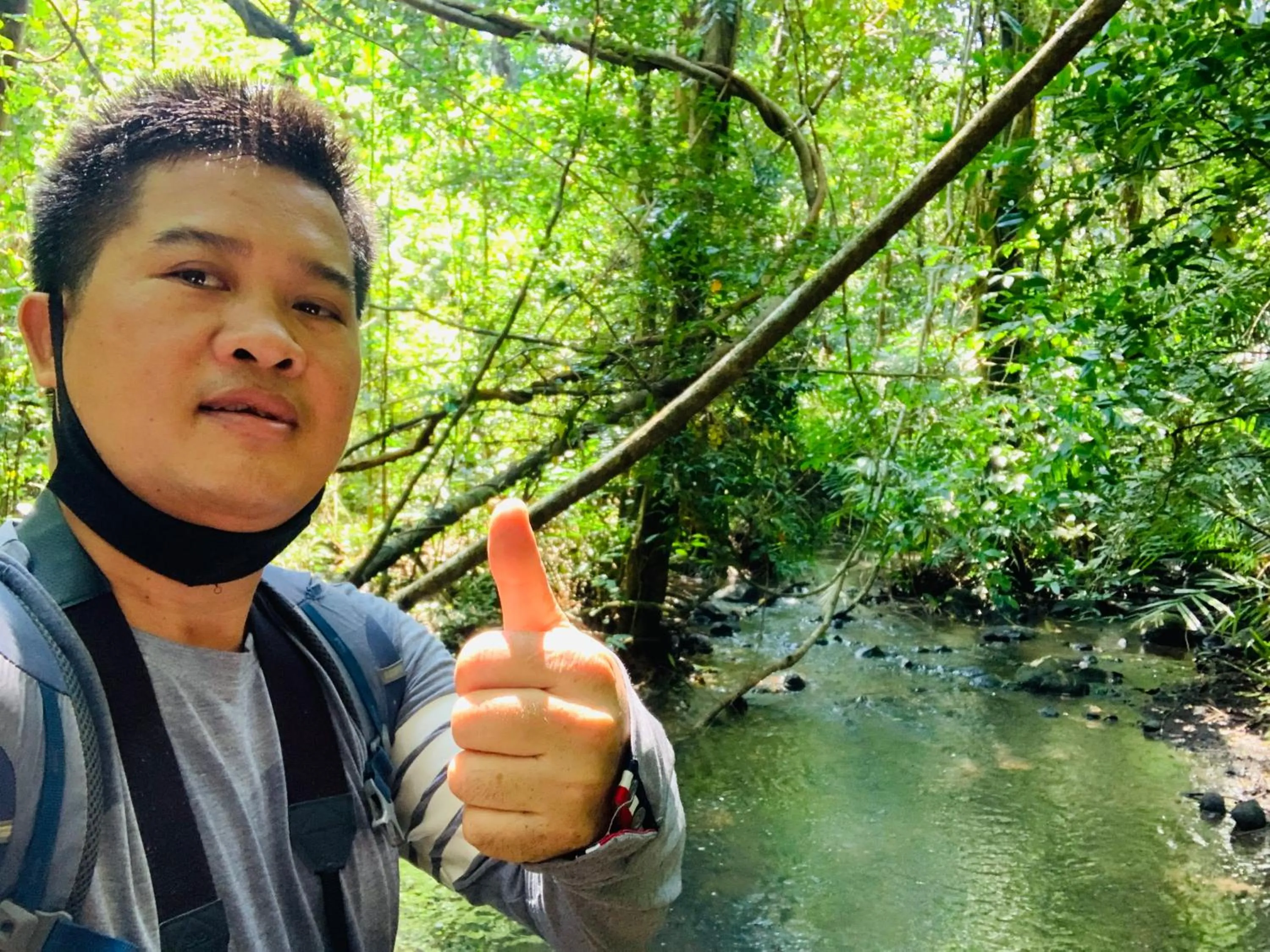 Gibbon Singing Home Stay