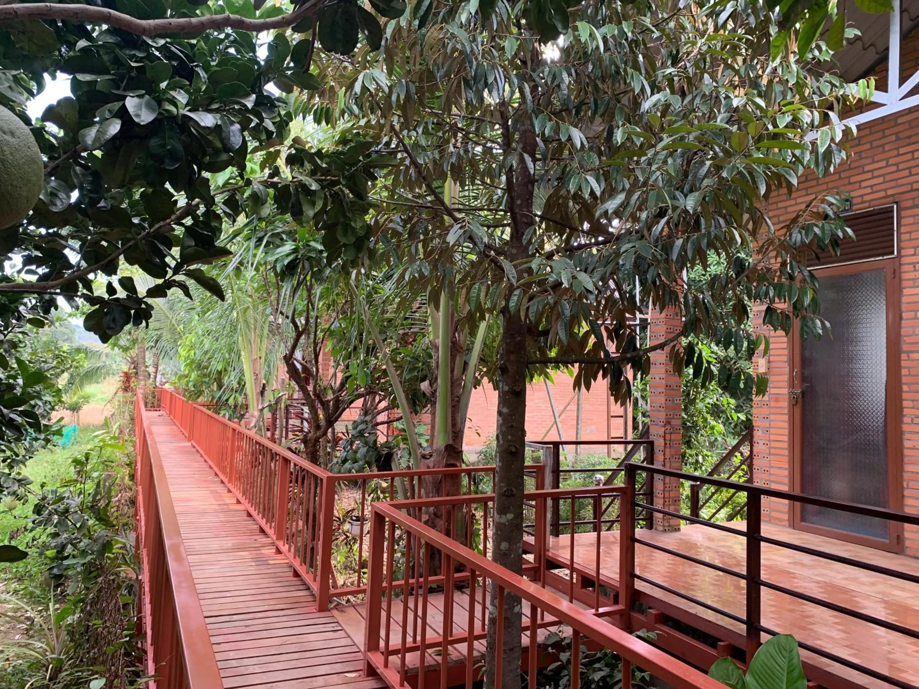 Gibbon Singing Home Stay