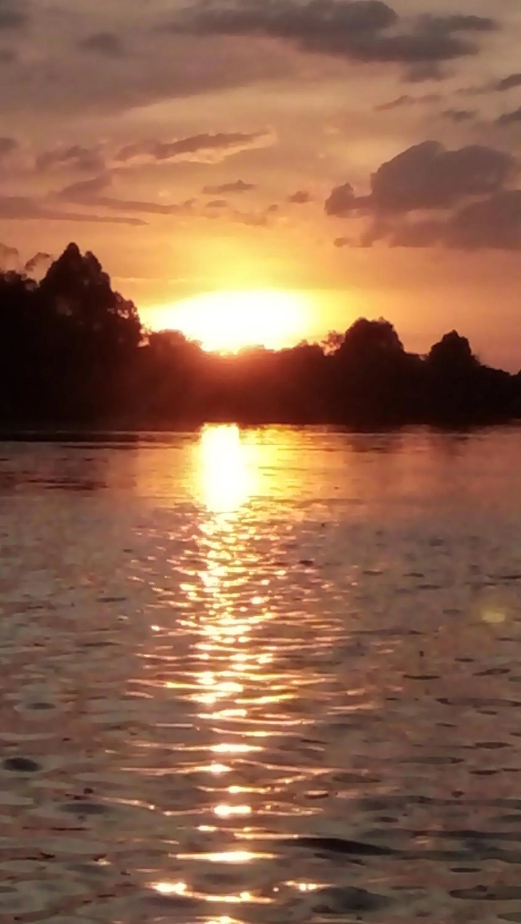 Aqua park in Gibbon Singing Home Stay