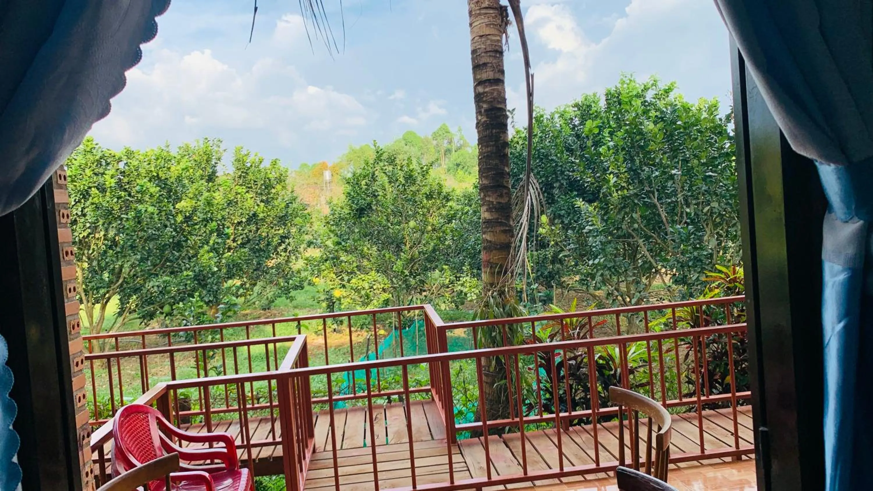 Gibbon Singing Home Stay