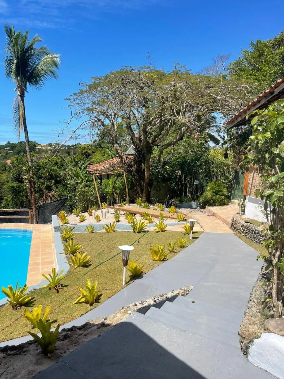 Natural landscape in Pousada Jardim das Bromélias