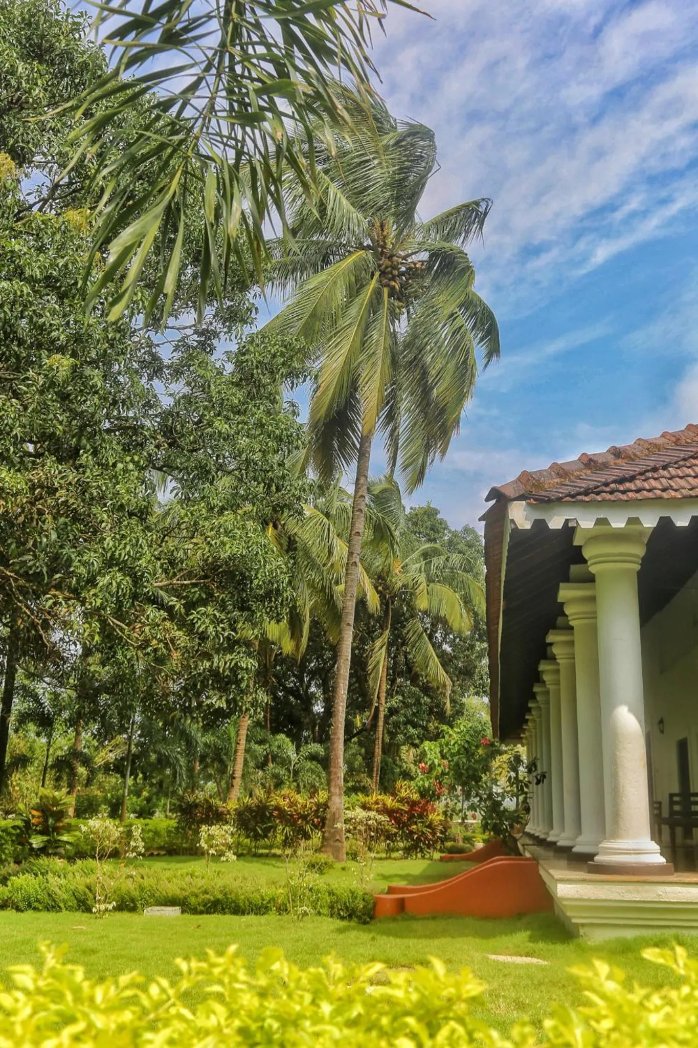 Garden in The Postcard Cuelim, Goa