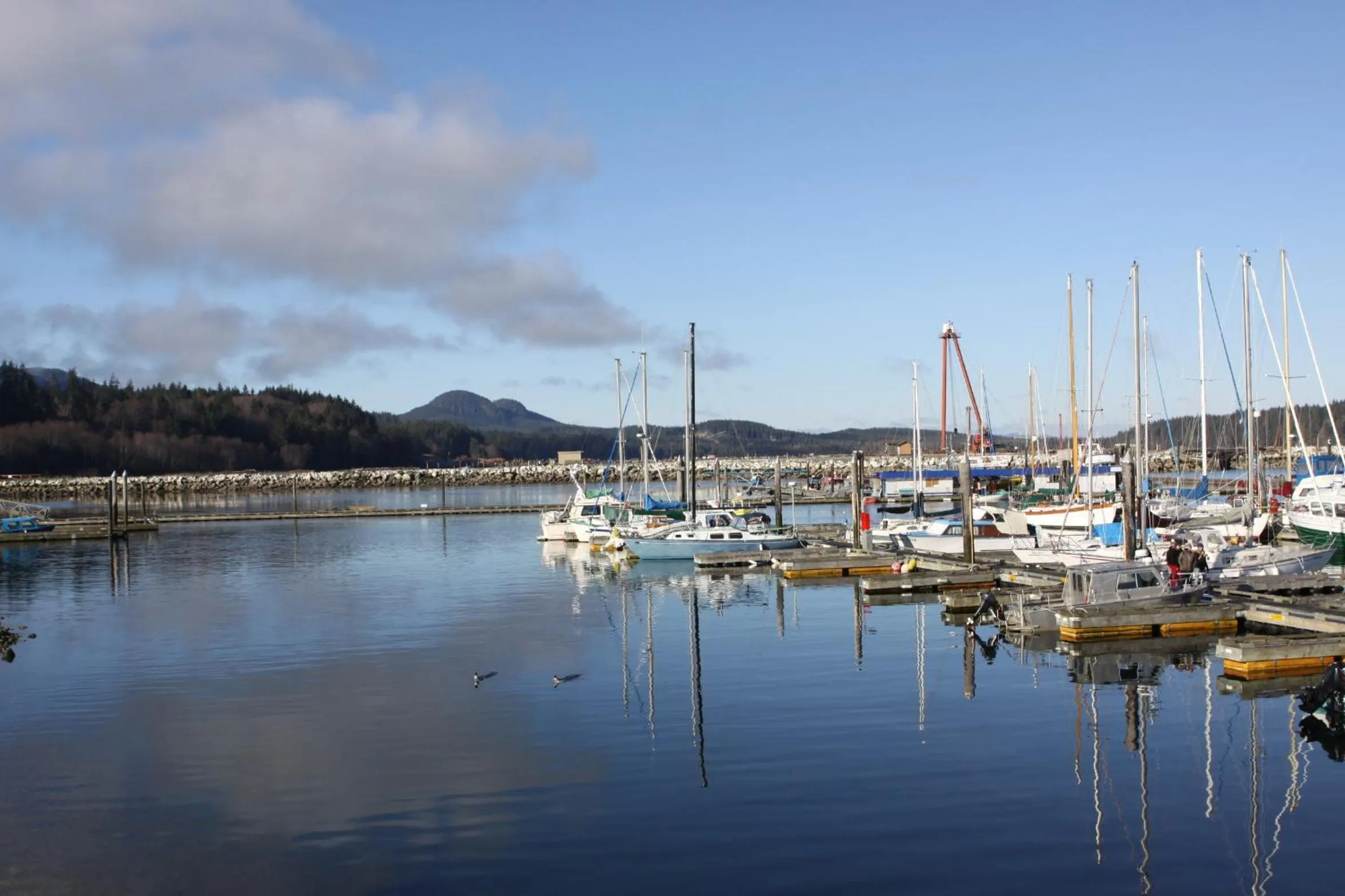 Area and facilities in Dalewood Inn