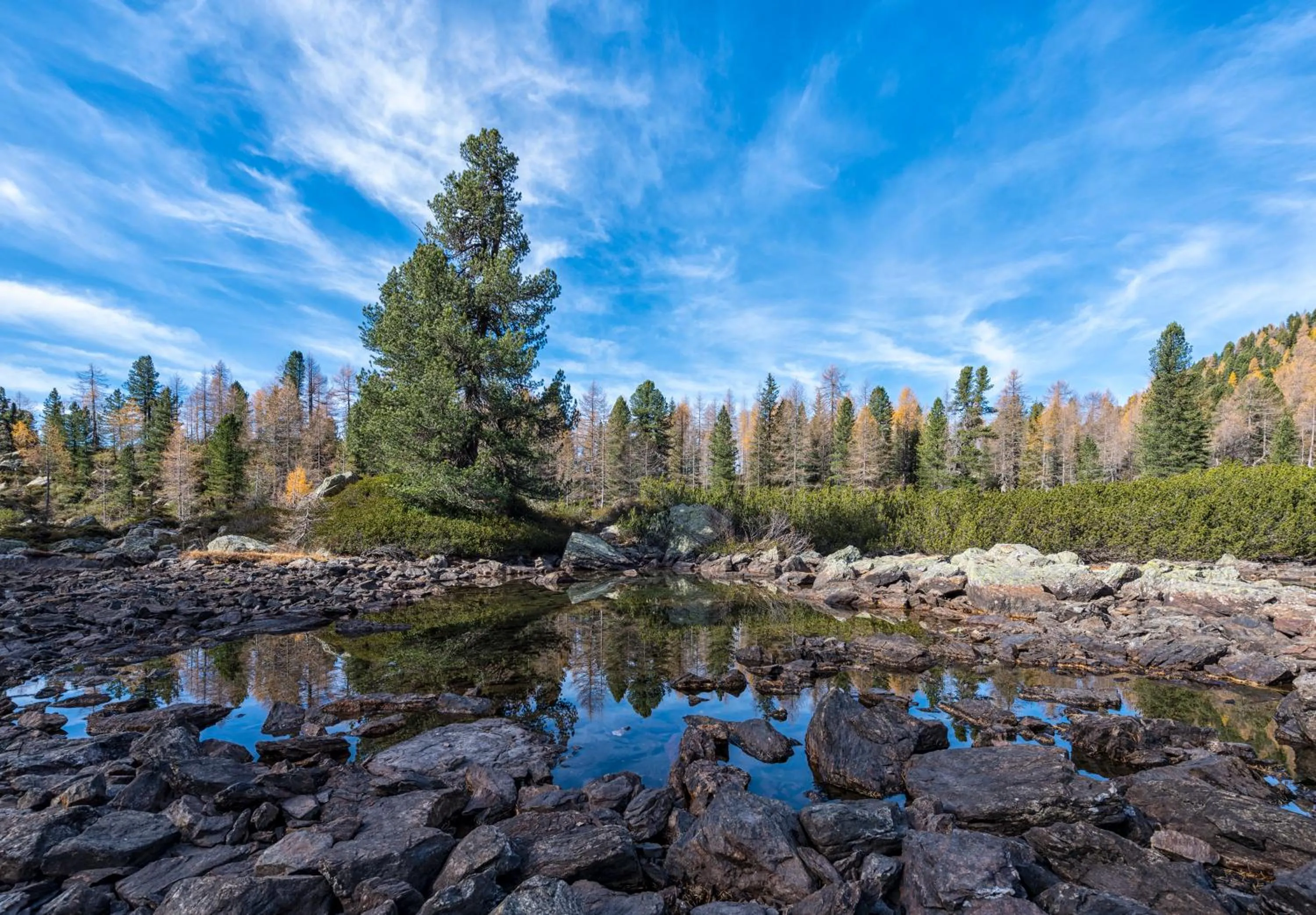 Natural landscape in Hotel Aurai