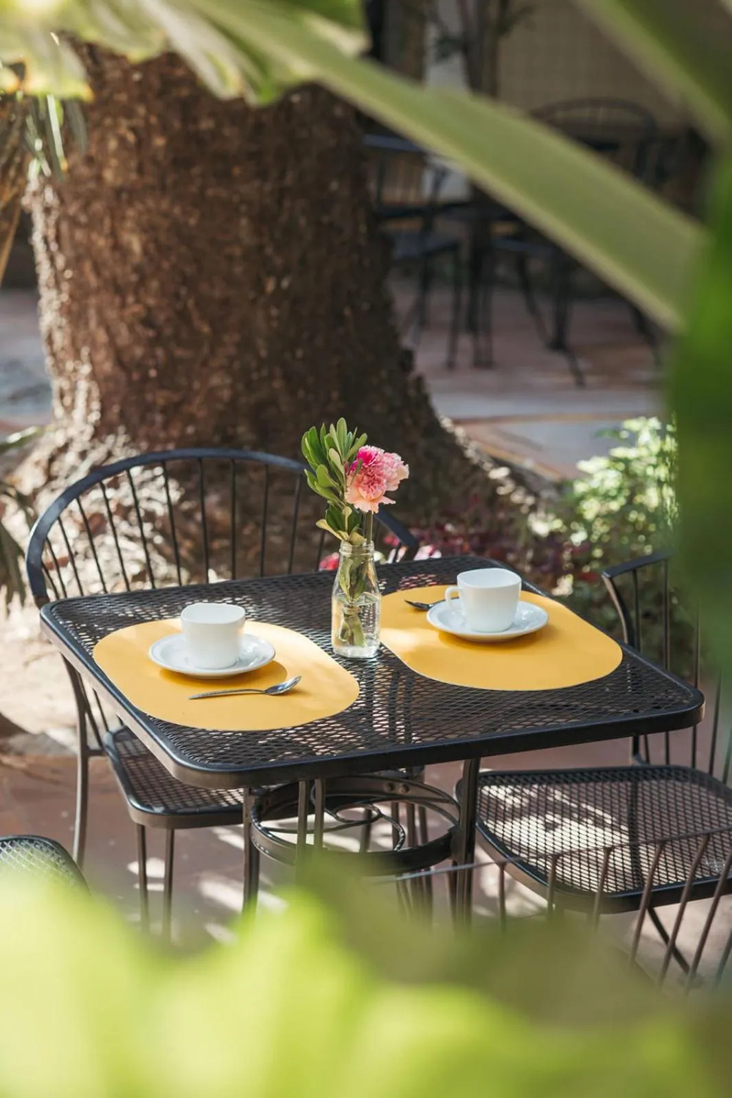 Garden in Hotel Allende Morelia