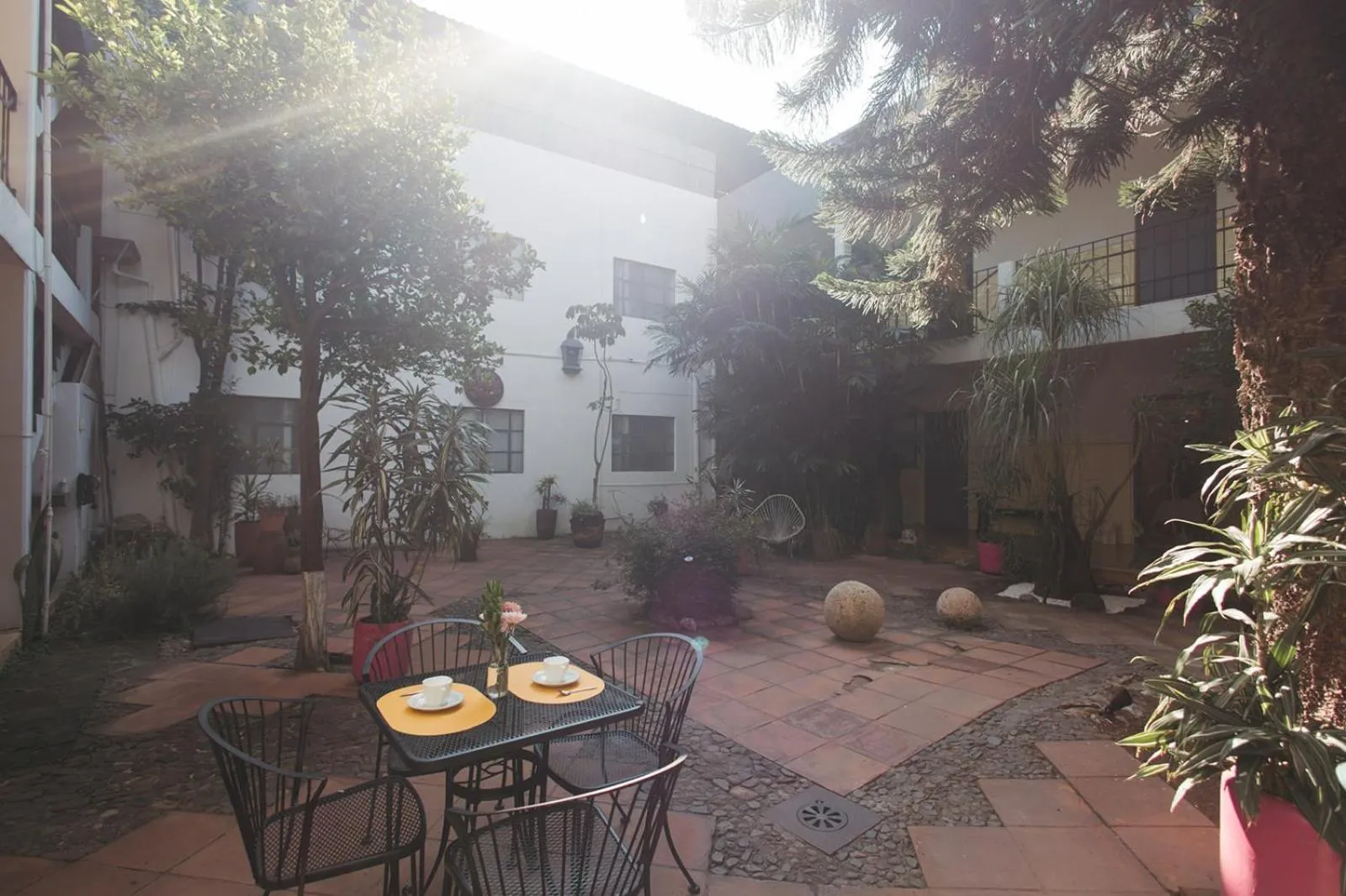 Garden in Hotel Allende Morelia