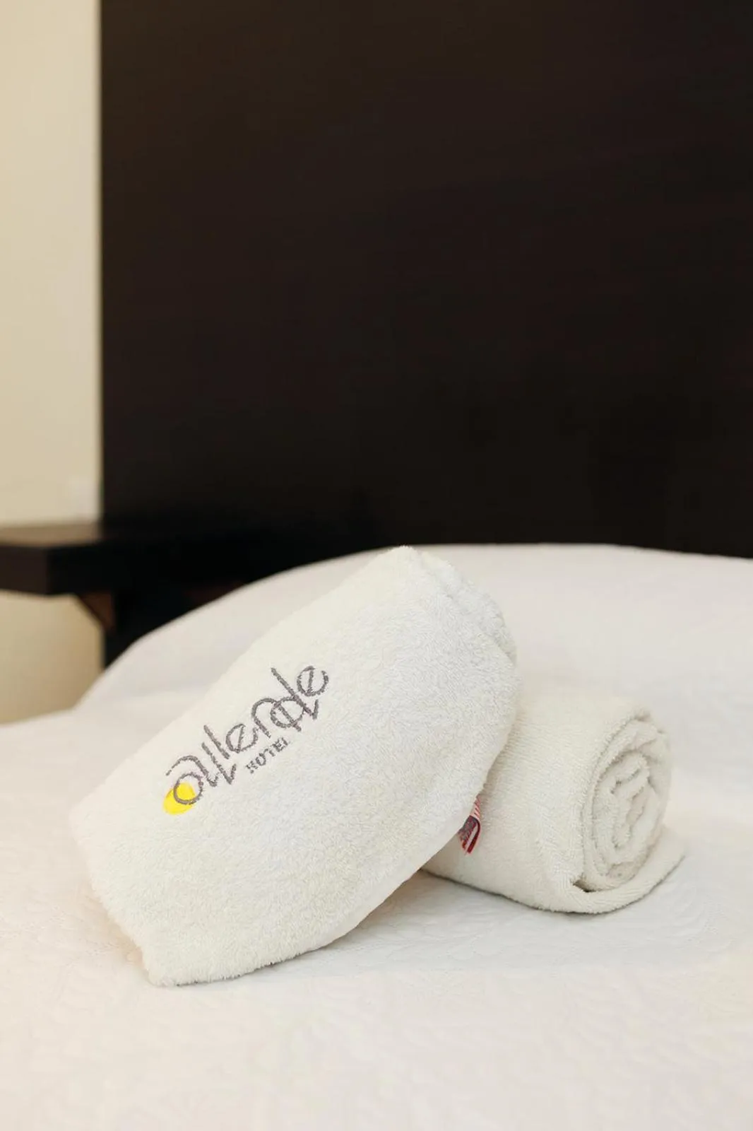 Bed in Hotel Allende Morelia