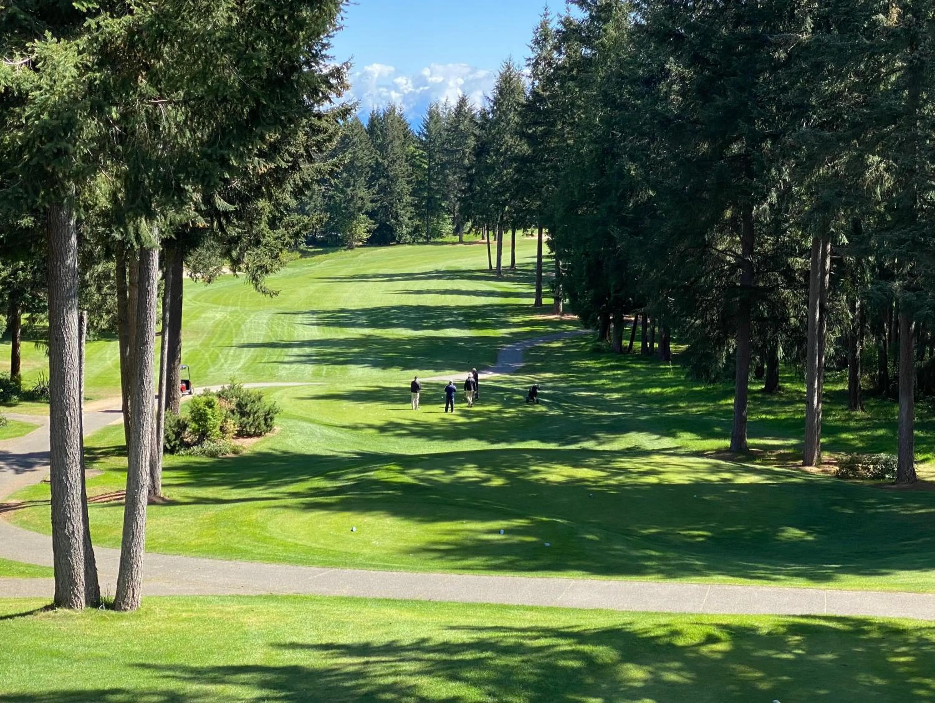 Natural landscape in Crown Isle Resort & Golf Community