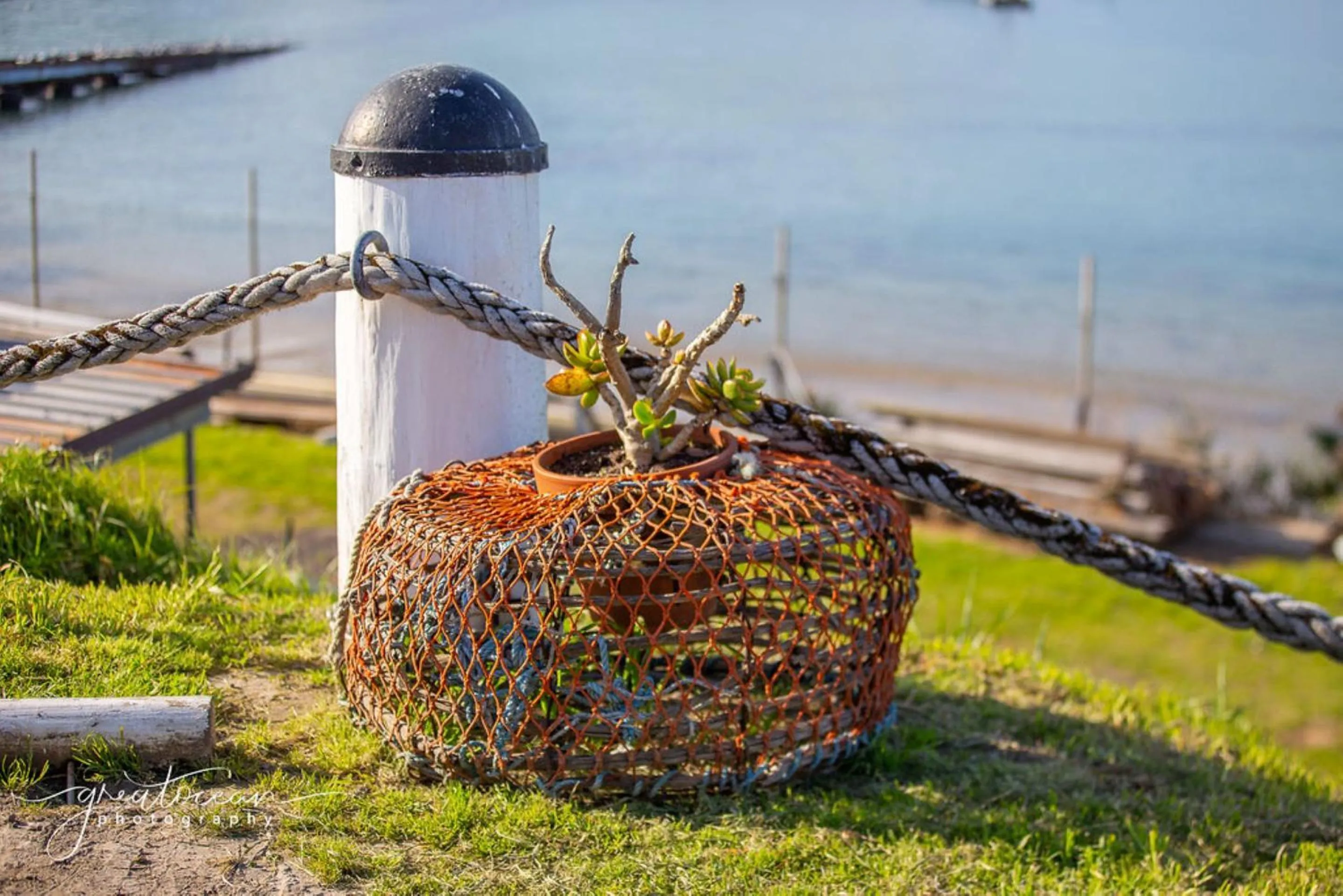 Other in Apollo Bay Motel & Apartments