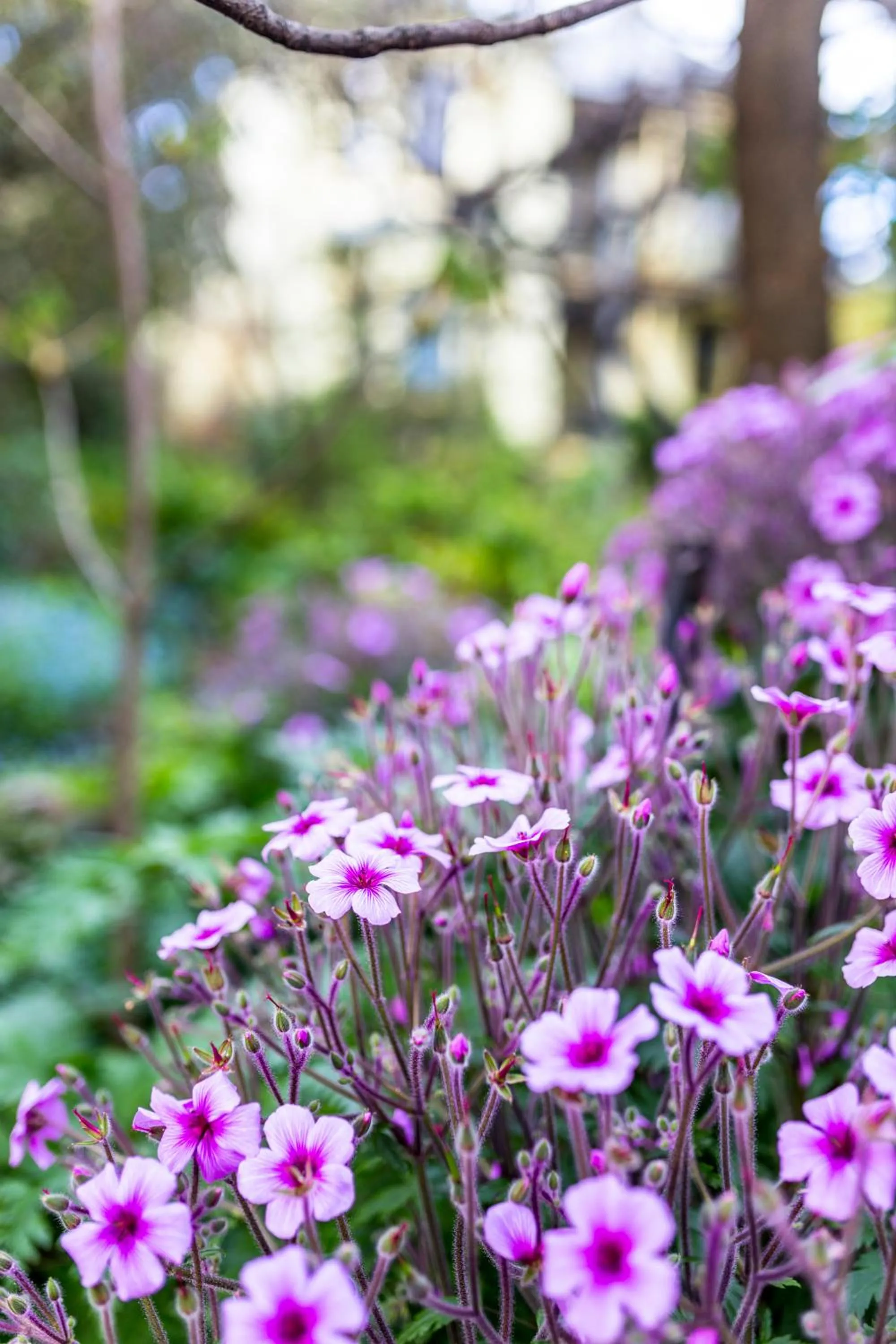 Decorative detail in Corinda Contemporary