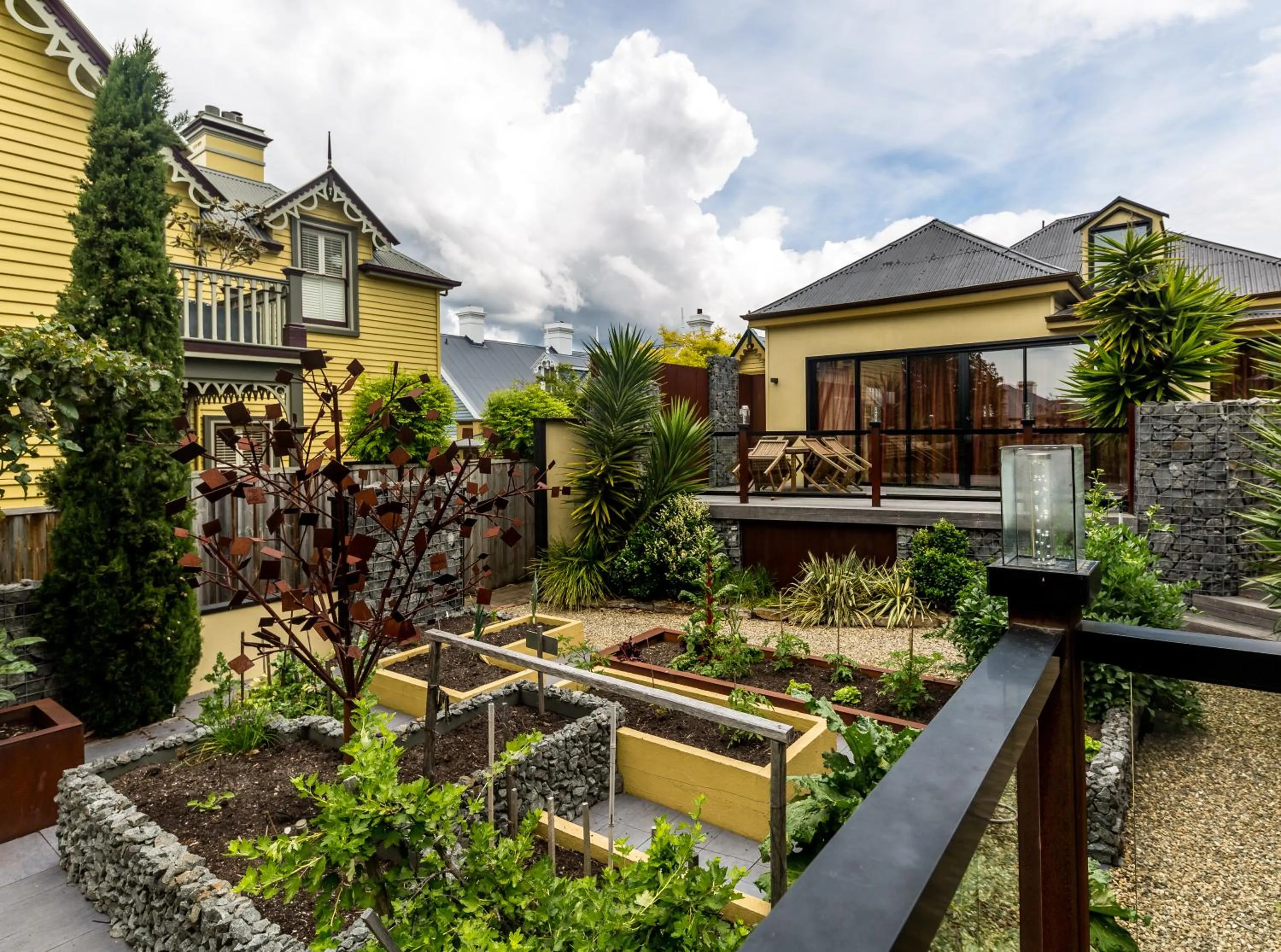 Garden in Corinda Contemporary