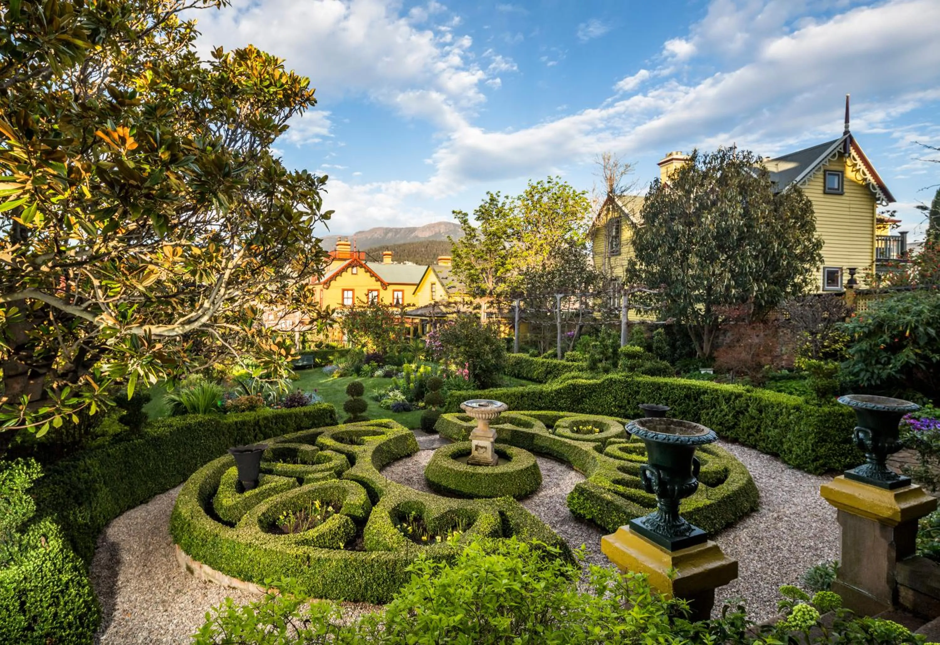 Garden in Corinda Contemporary
