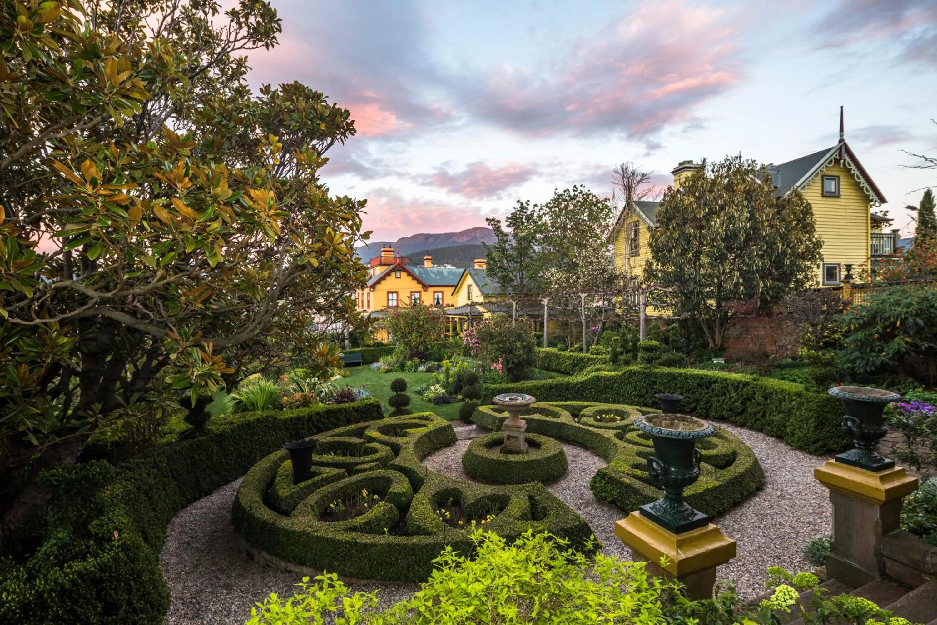 Garden in Corinda Contemporary