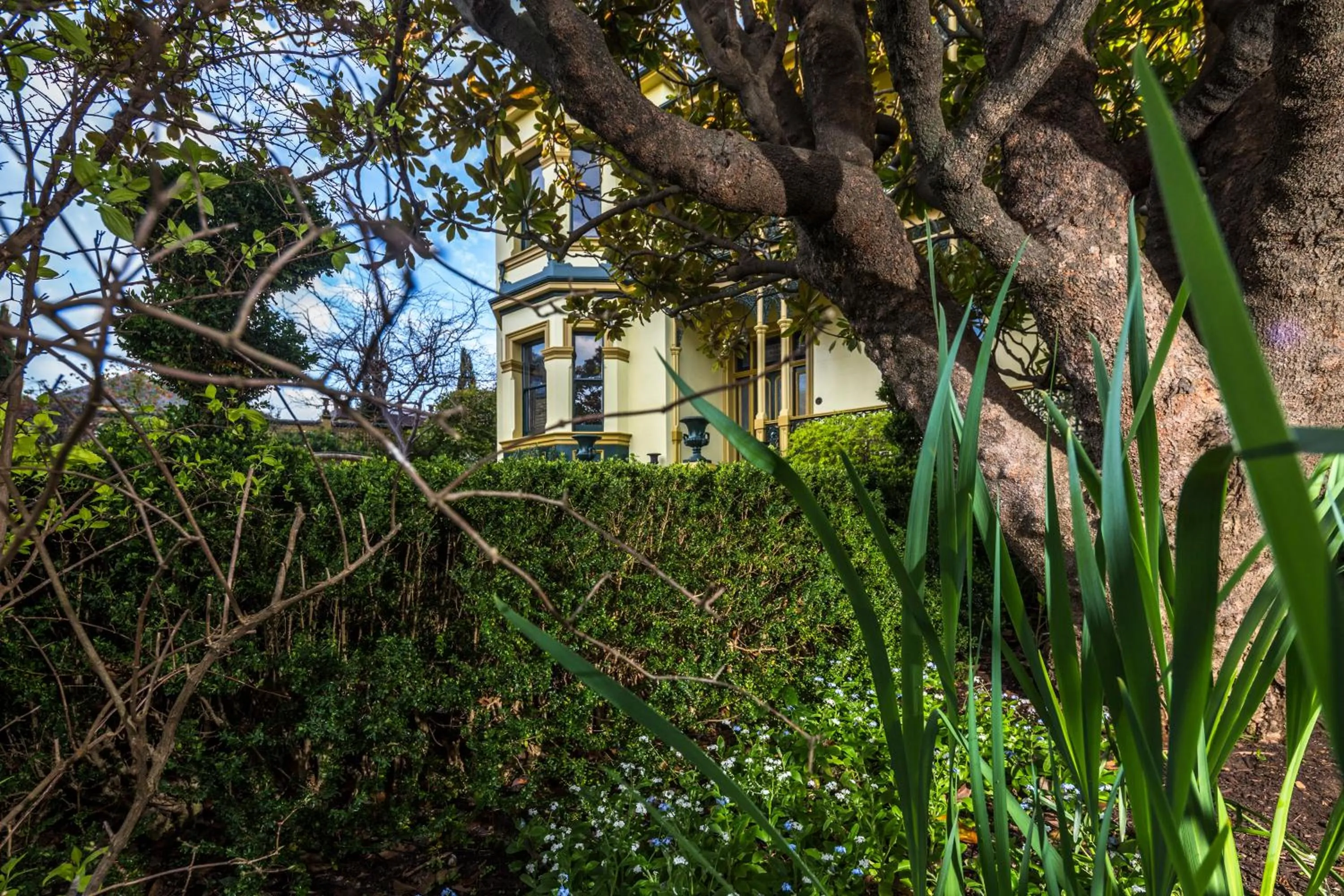 Garden in Corinda Contemporary