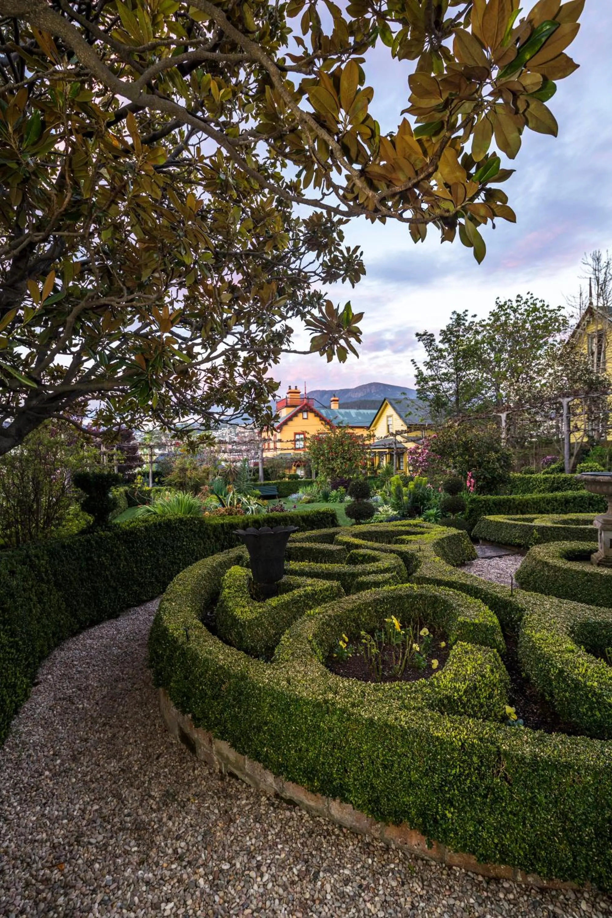 Garden in Corinda Contemporary