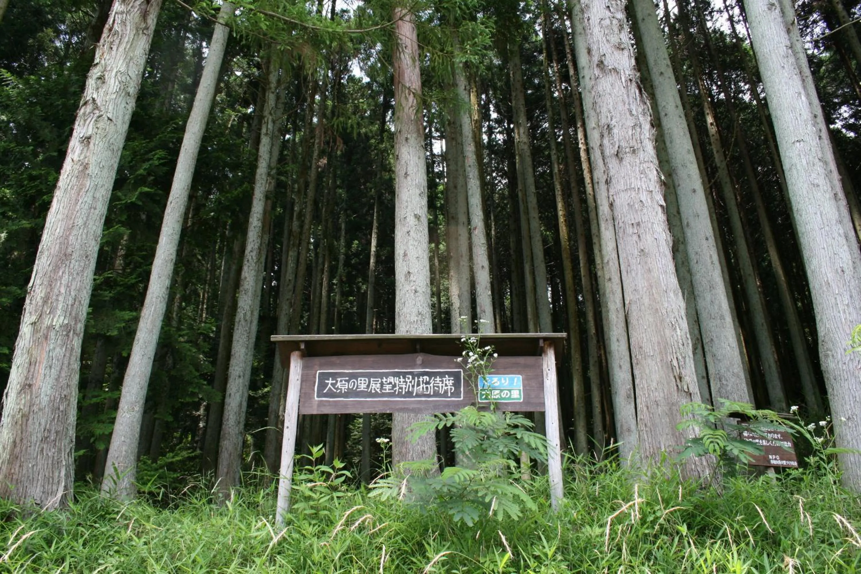 Natural landscape in Yumoto Onsen OharaSansou