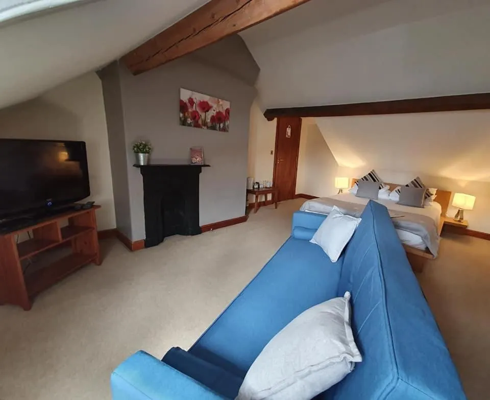 Photo of the whole room, Bed in Ty Morgan's