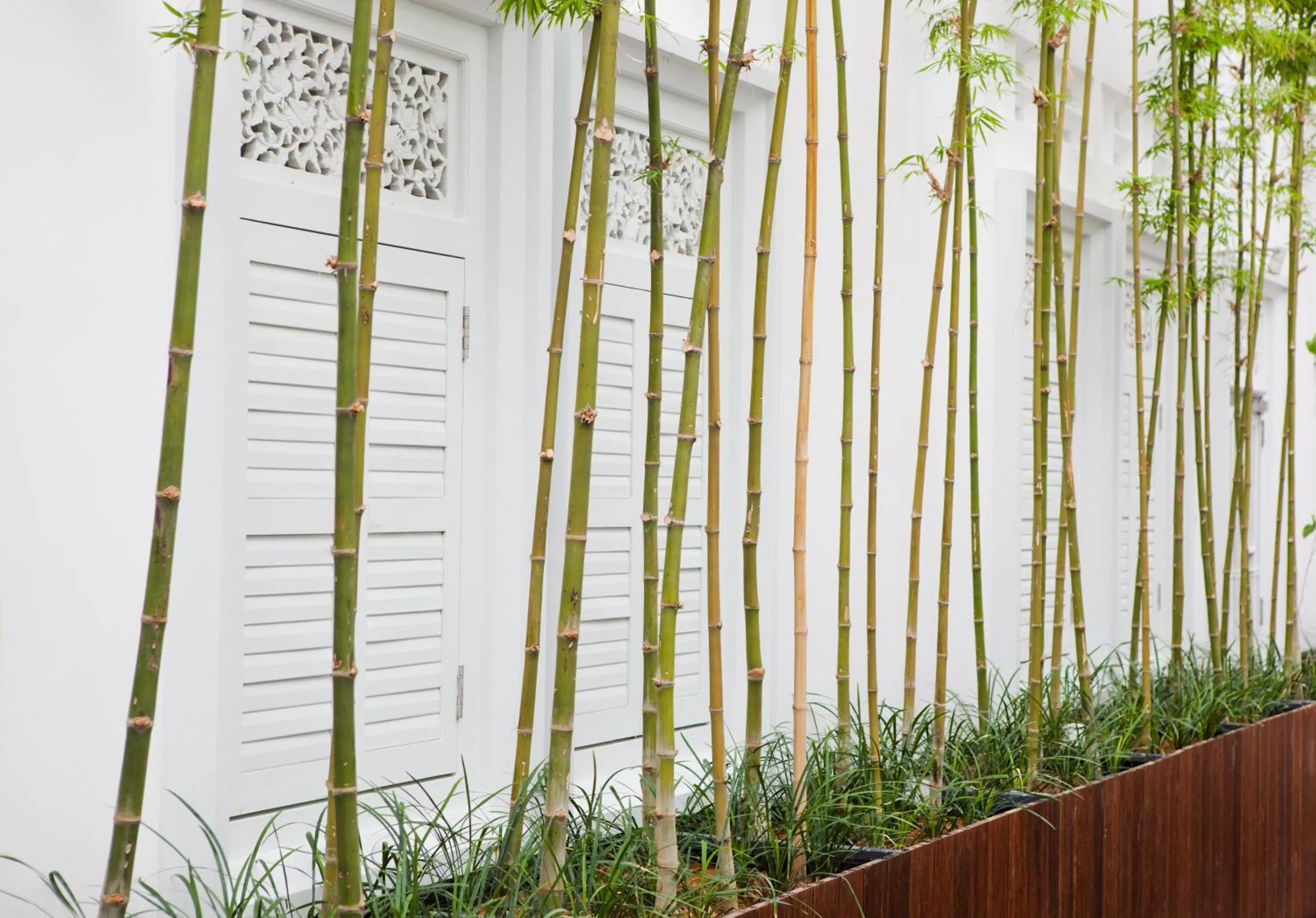 Area and facilities in The Sultan