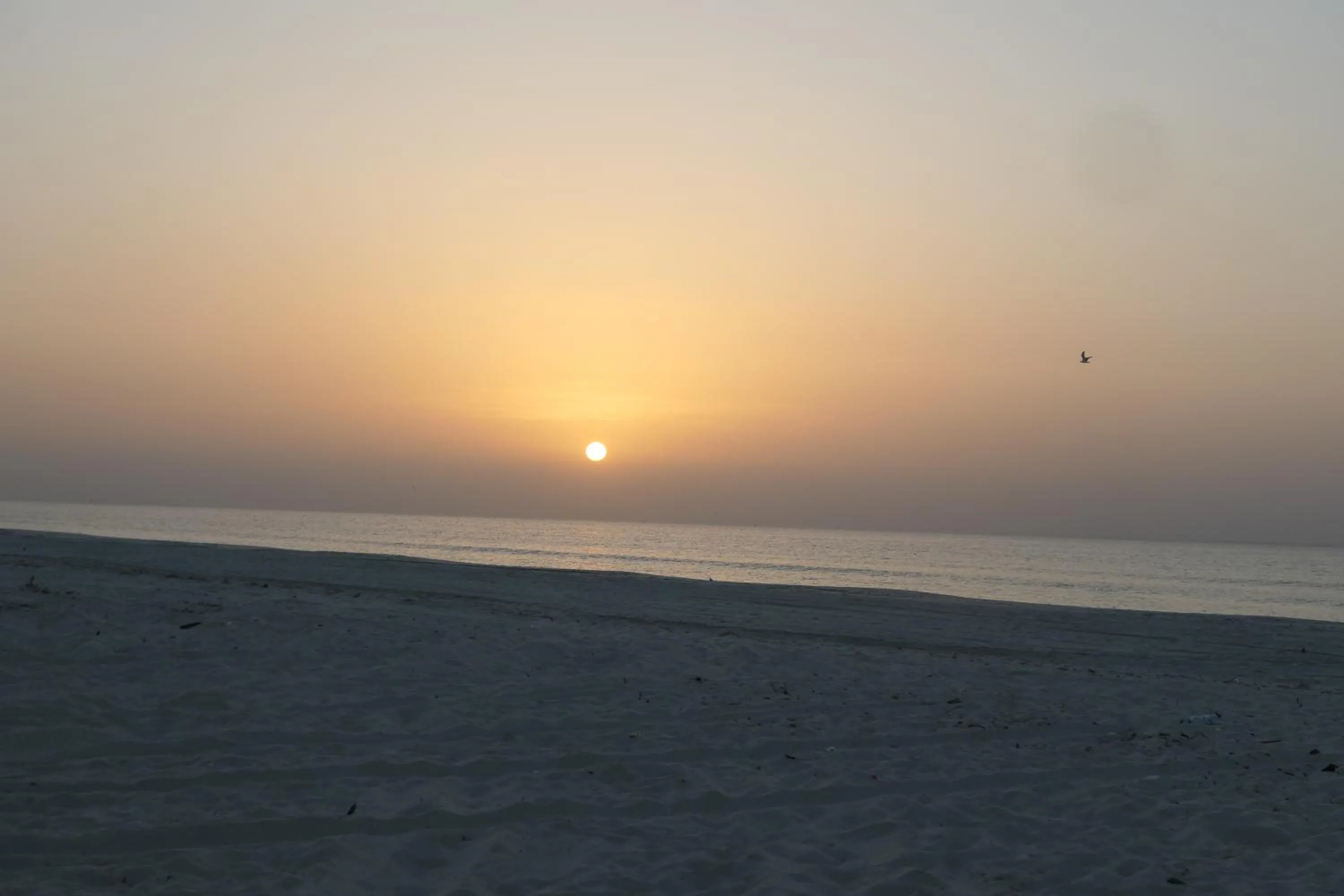 Sunrise in Samharam Resort Salalah