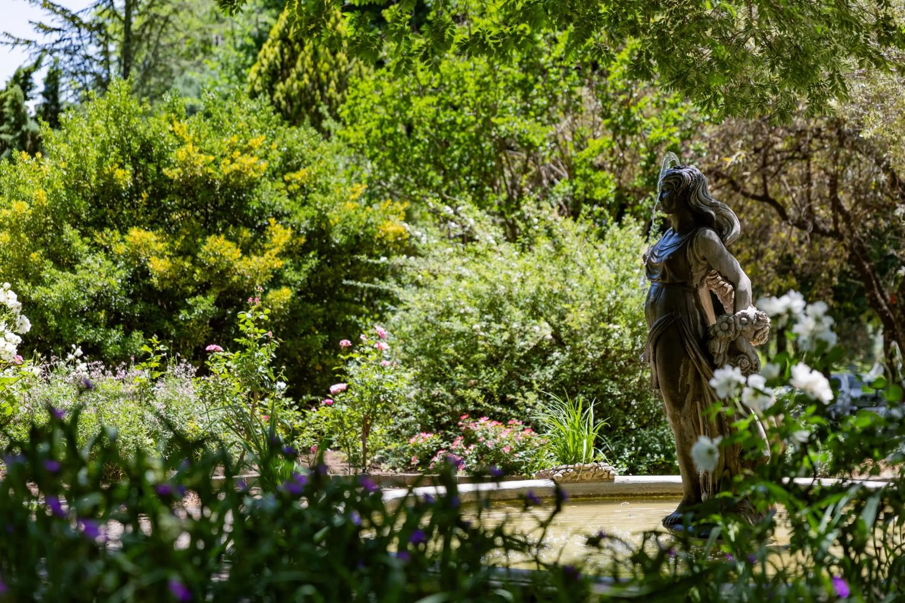 Garden in Lavender Hill Country Estate and Wedding Venue