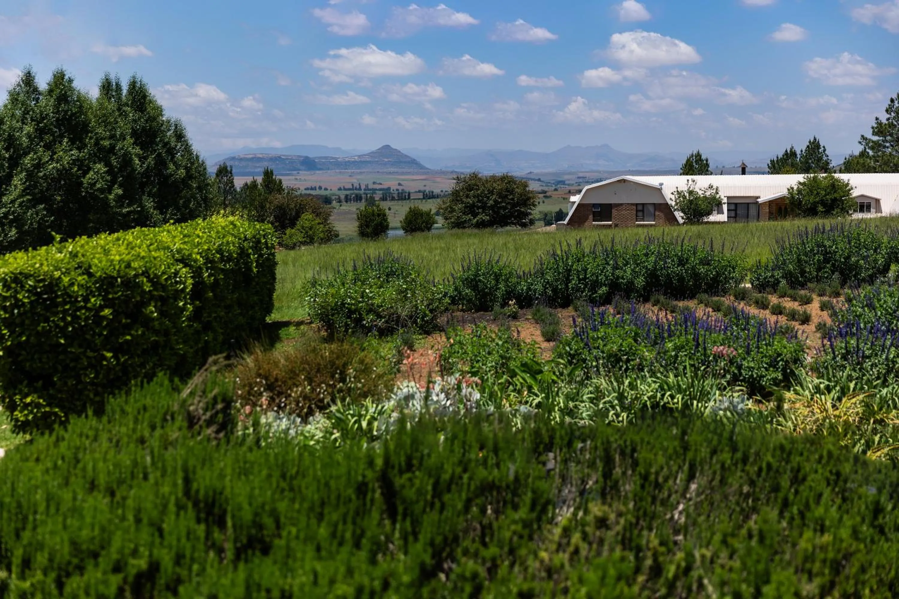 Lavender Hill Country Estate and Wedding Venue