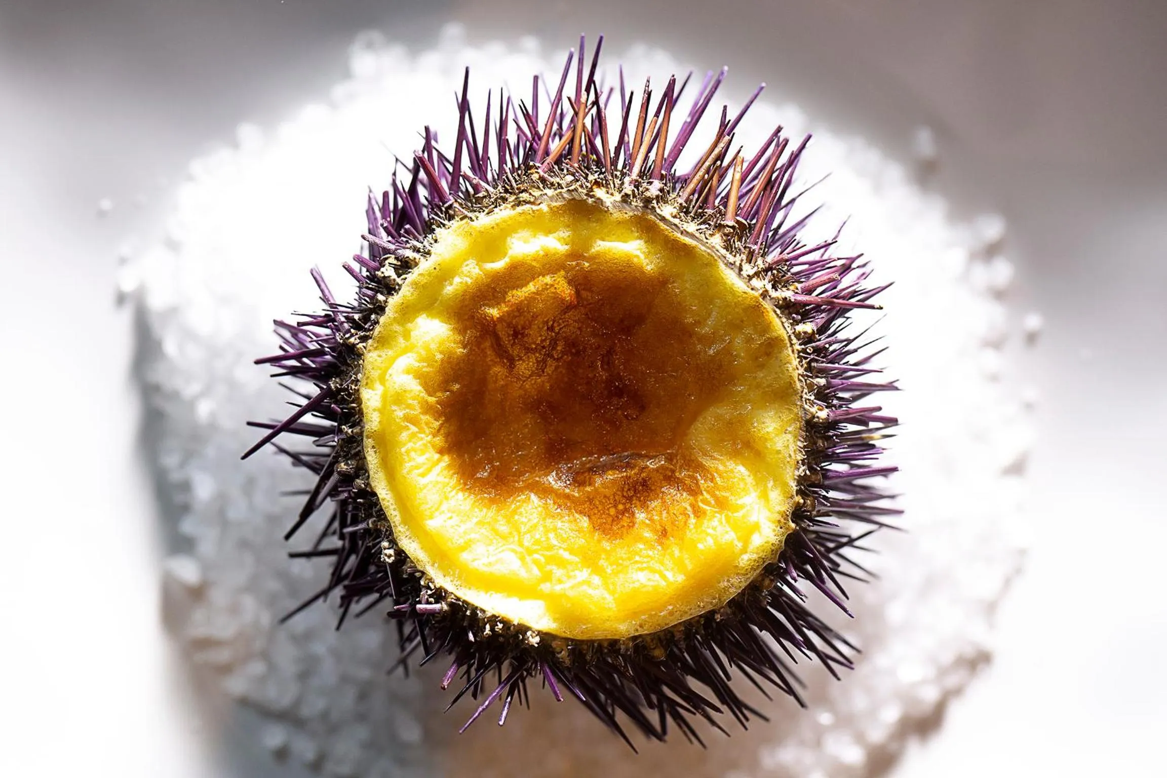 Food in Mas de Torrent Hotel & Spa, Relais & Châteaux