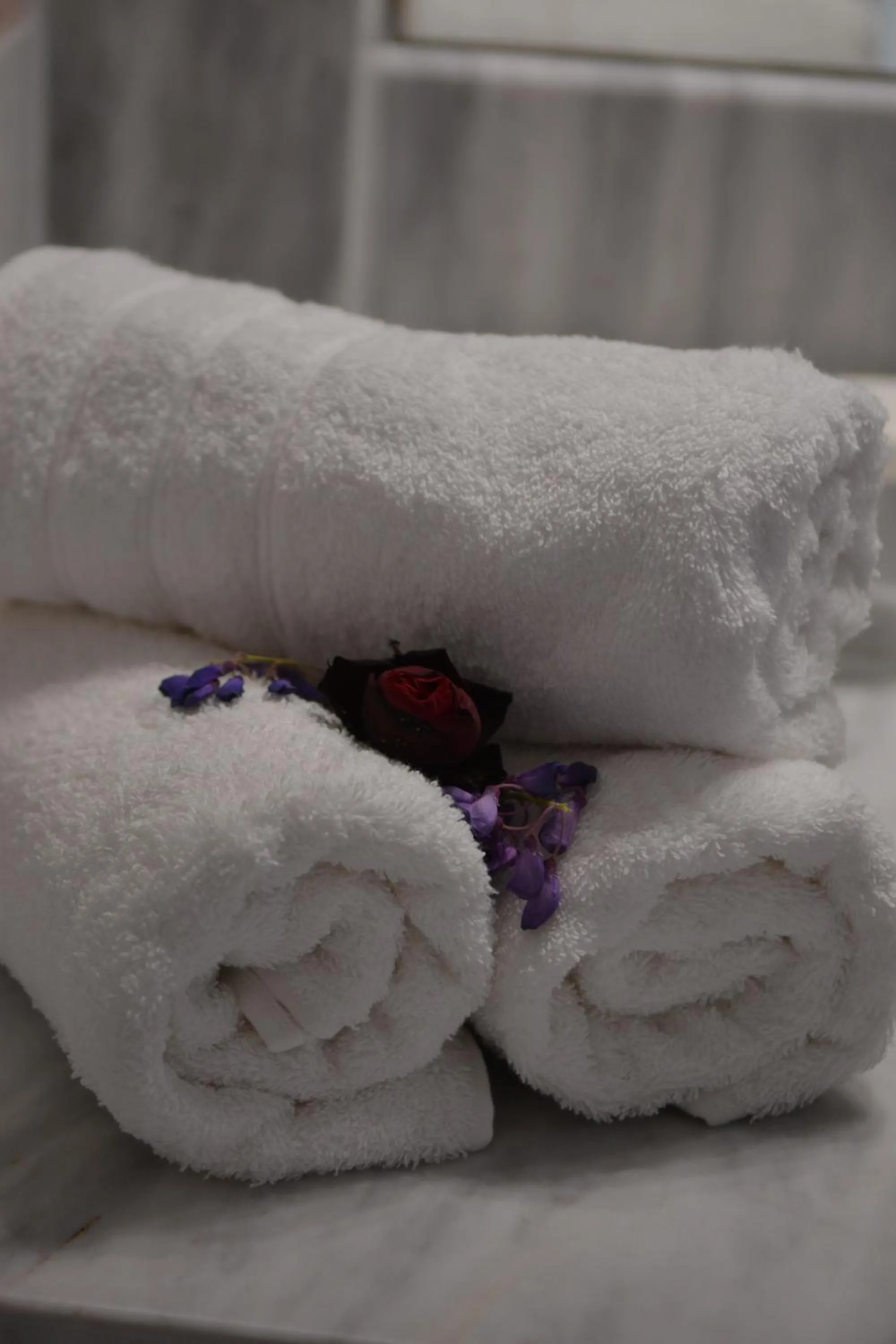 towels in Riposo Studios & Apartments