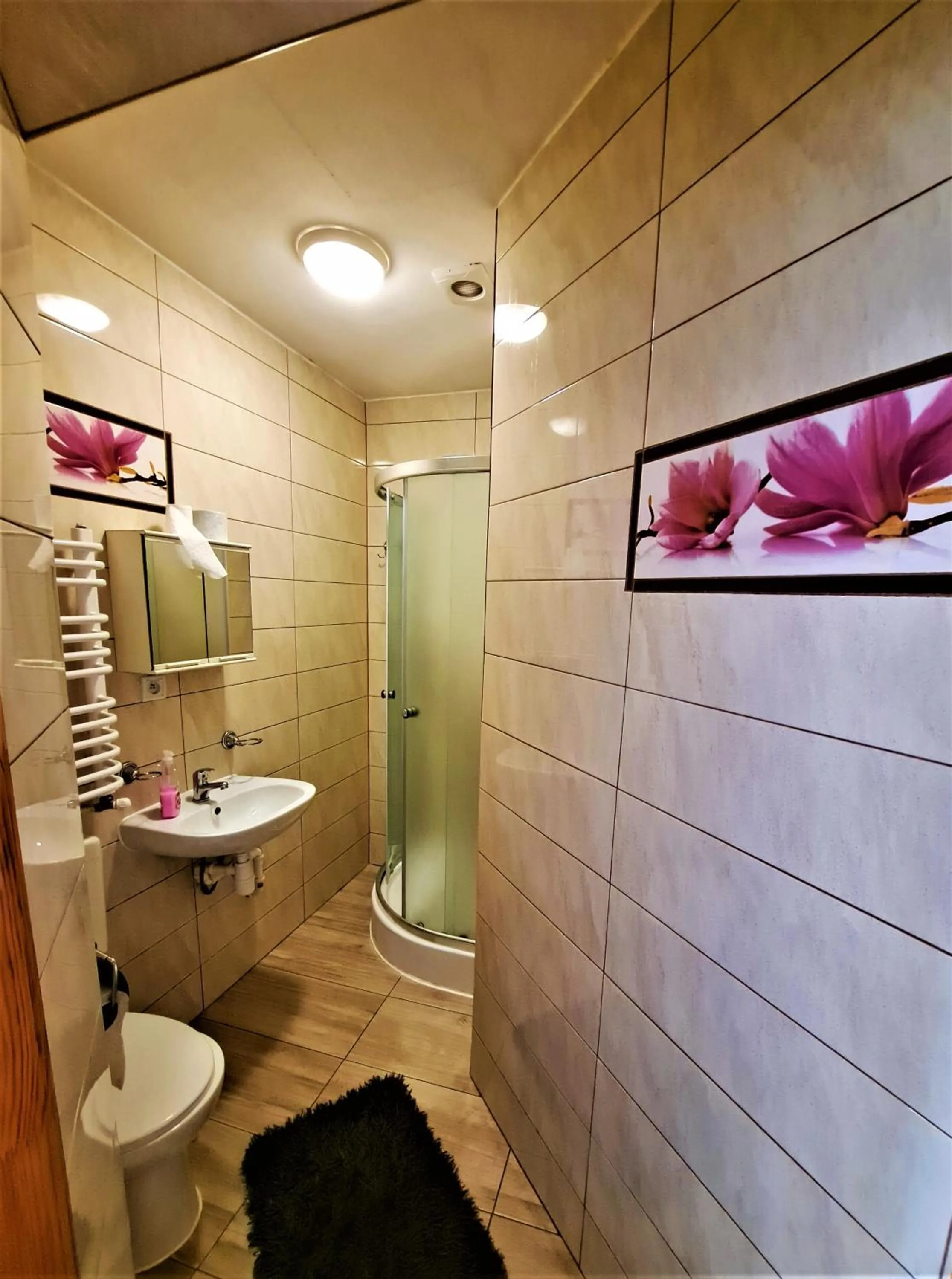 Bathroom in "Harnaś" Ząb-Bustryk