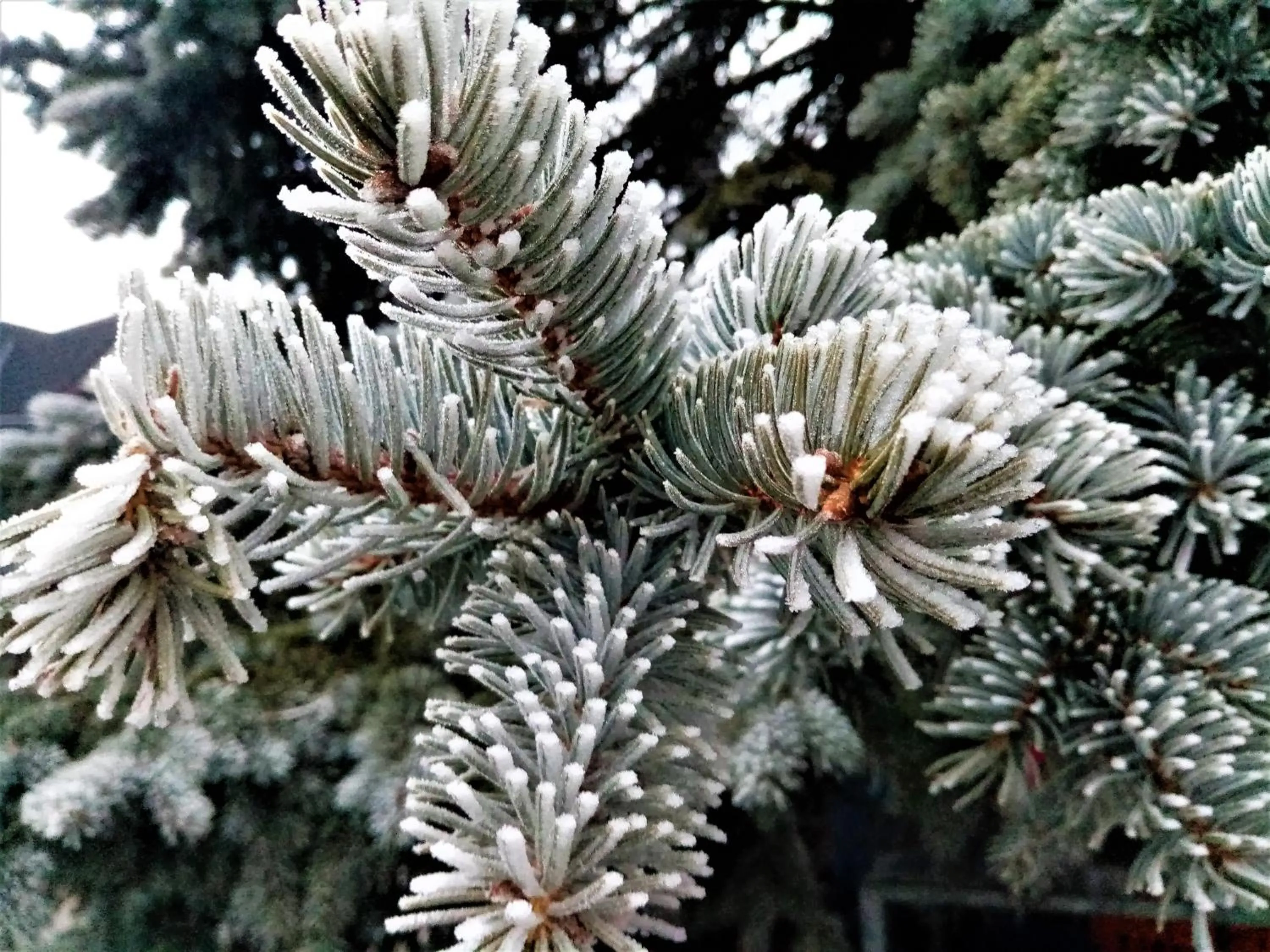 Natural landscape in "Harnaś" Ząb-Bustryk