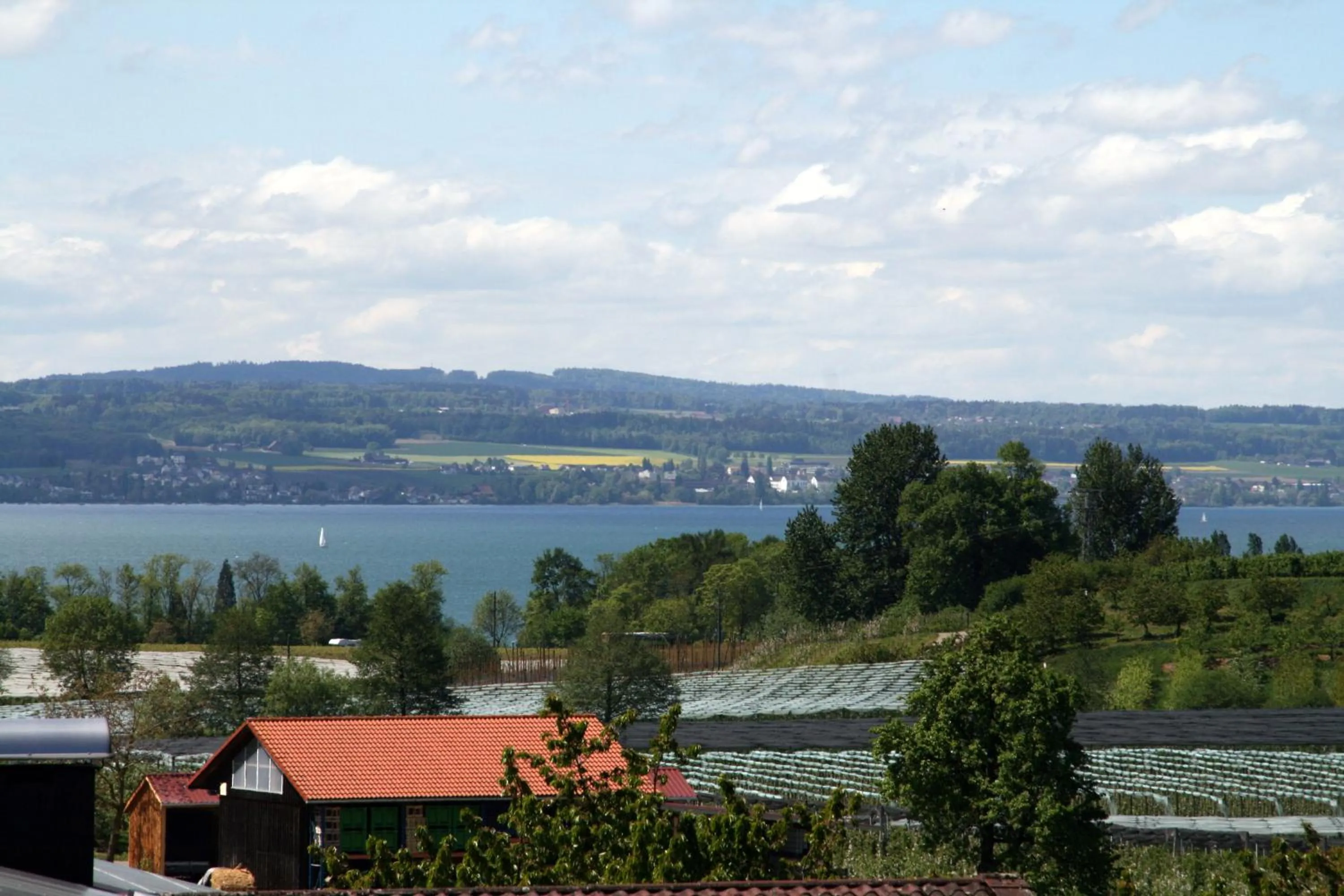 Waldvogel Ferienzimmer klimatisiert