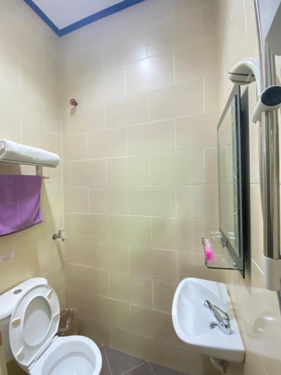 Toilet in Jasmine Villa