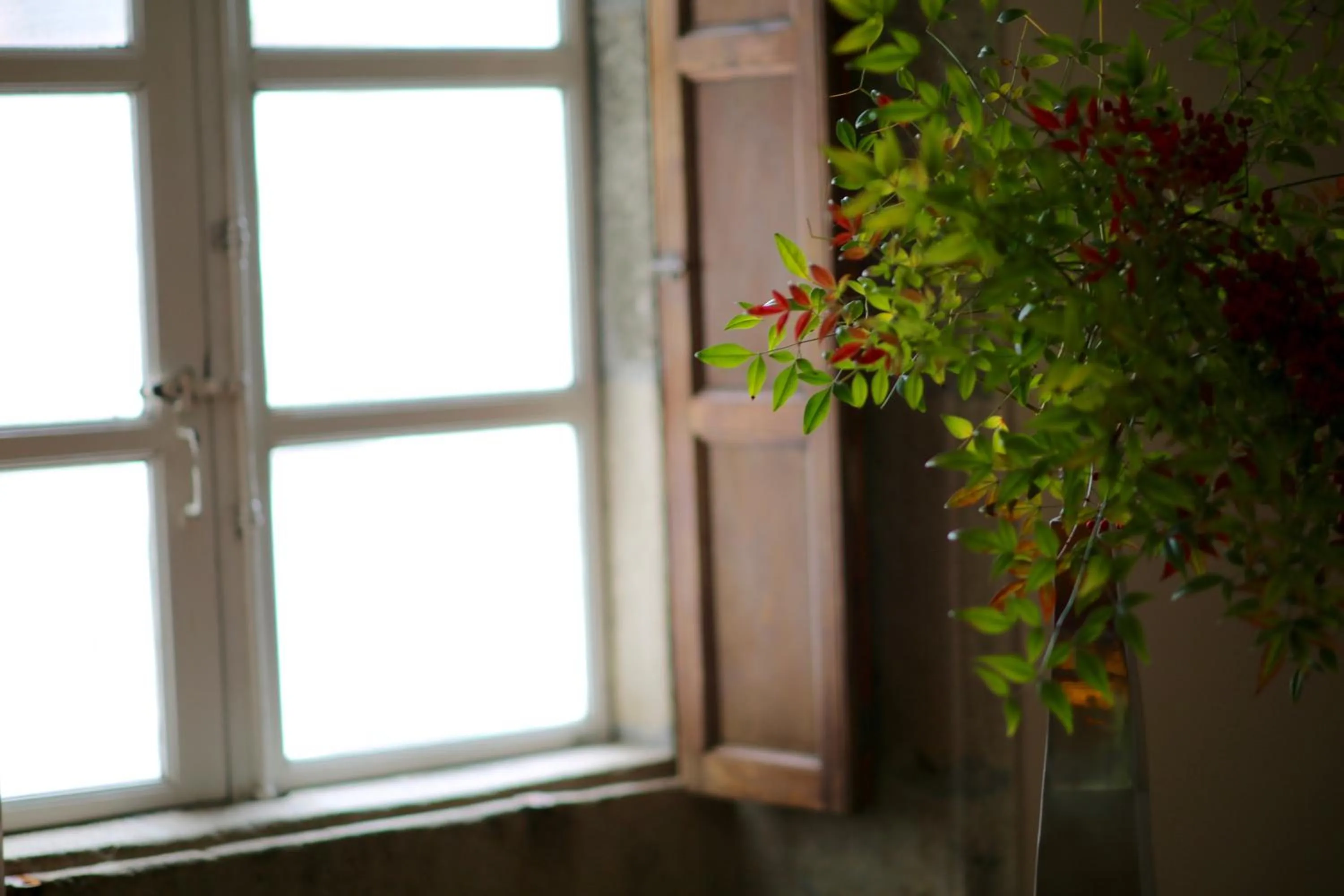 Decorative detail in Albergue O Fogar de Teodomiro