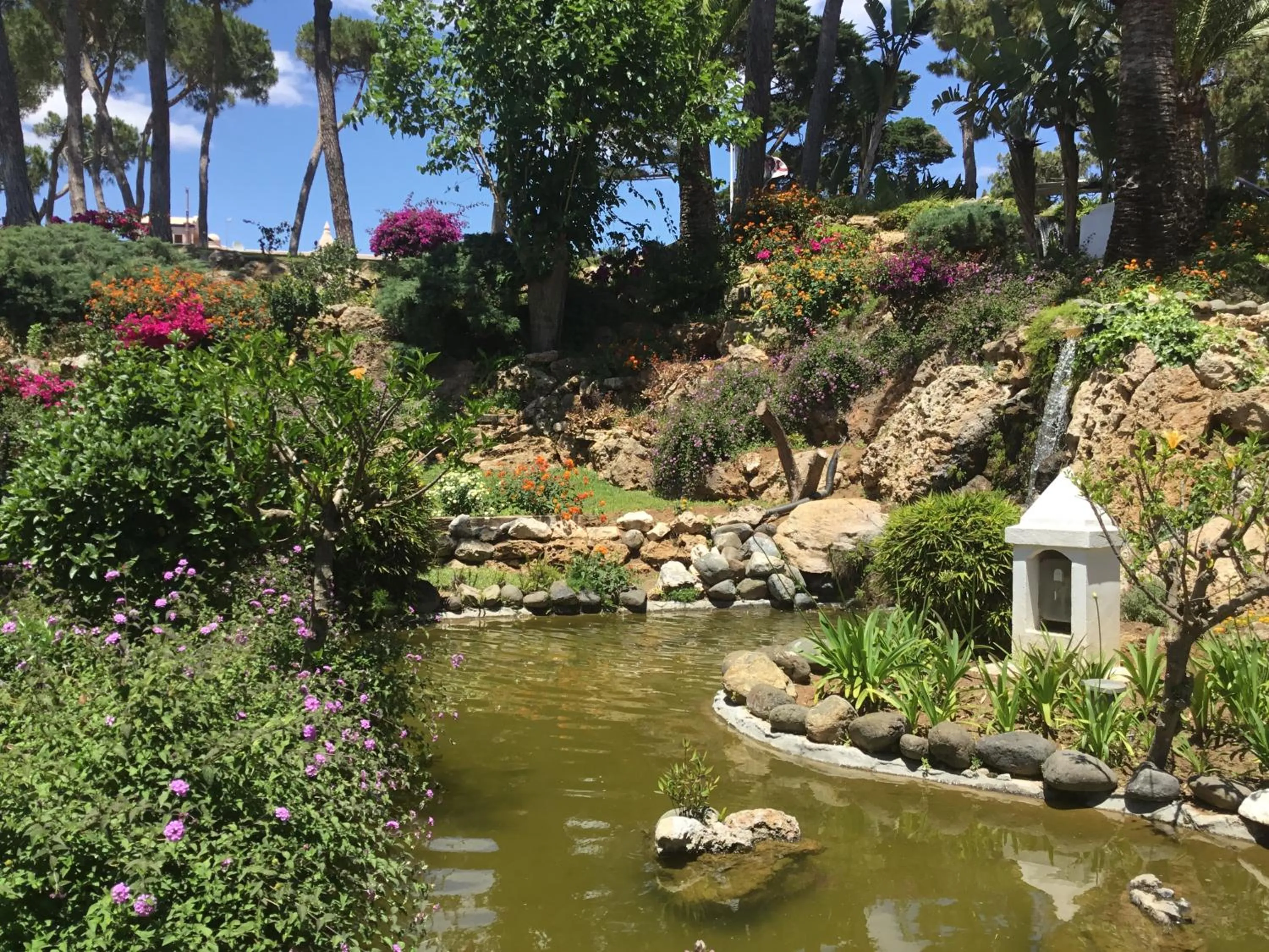 Garden in Macdonald Leila Playa Resort
