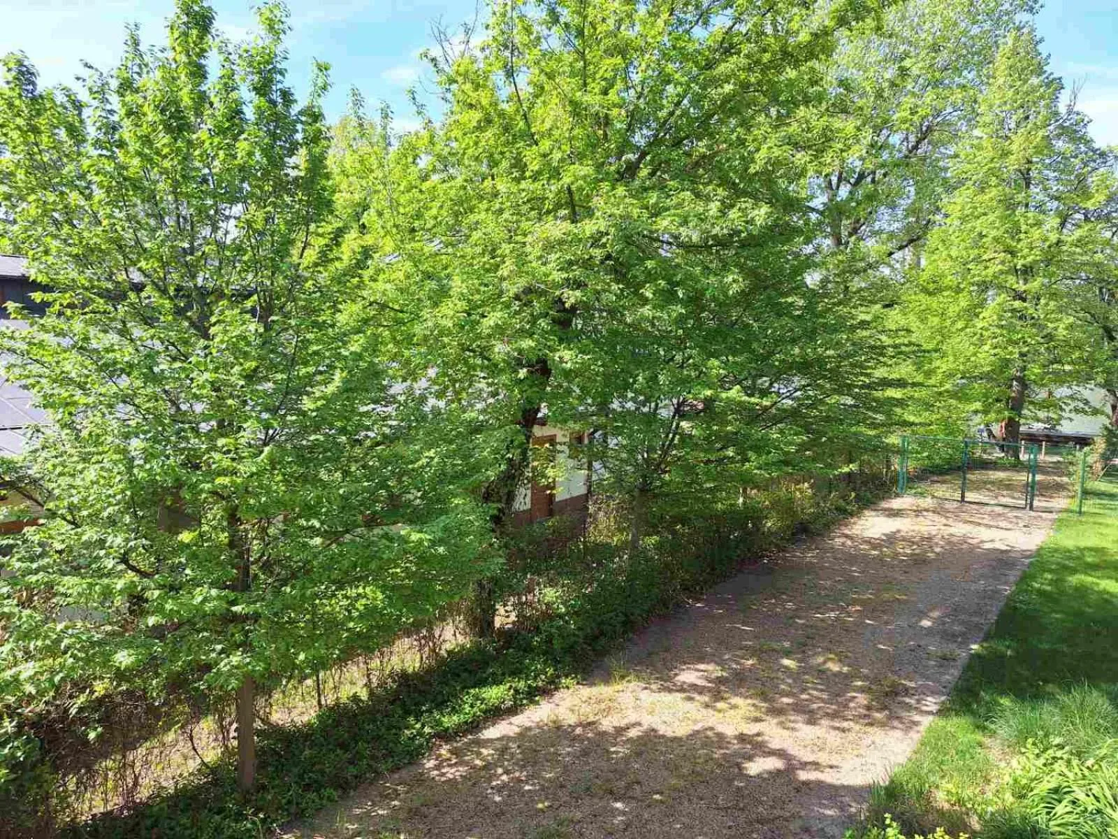 Spring in Duna Garden Hotel