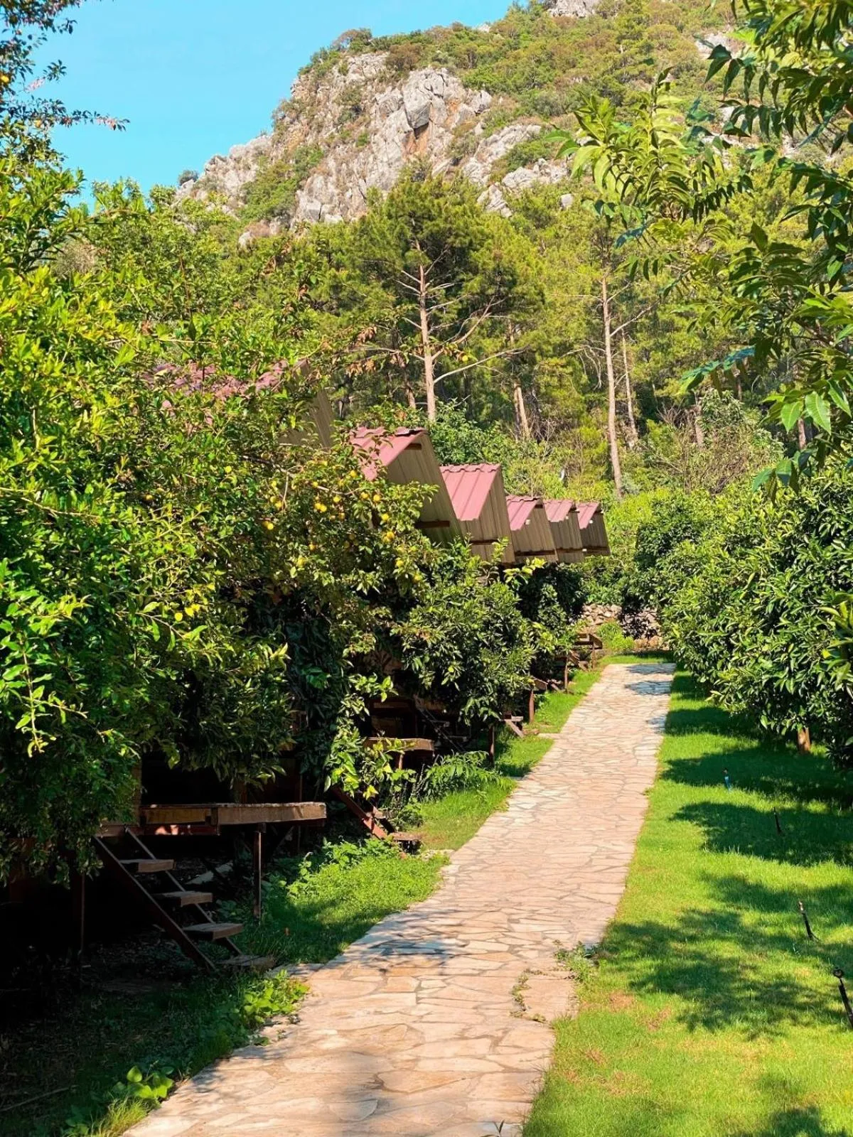 Property building in Olympos Camlık Pension