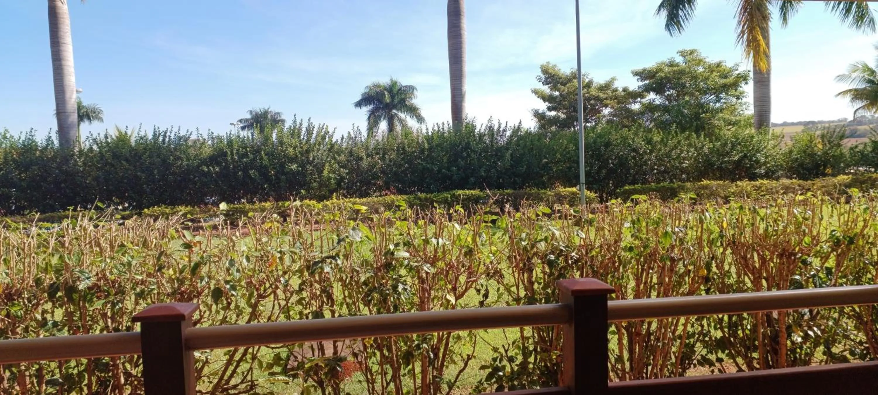Patio in Hotel Thermas Bonsucesso