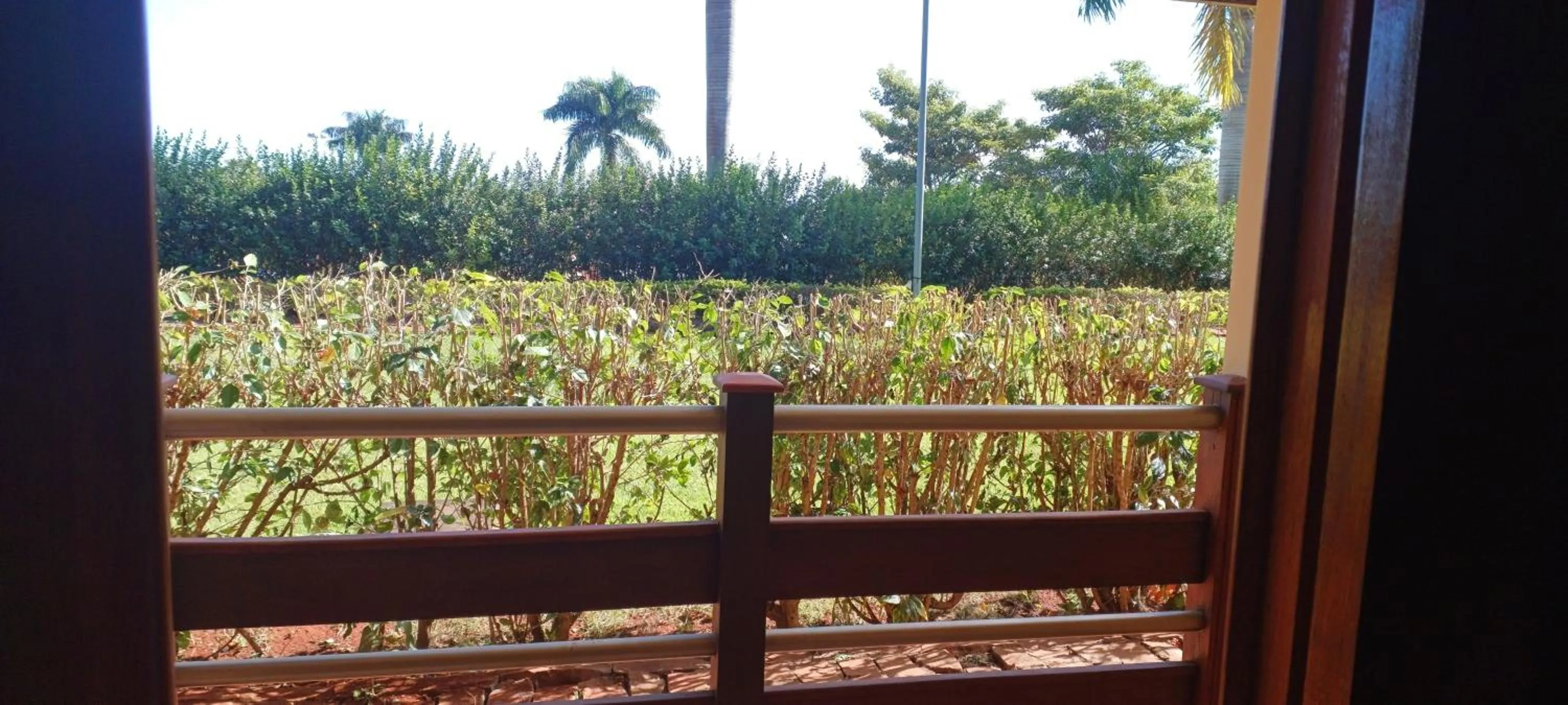 Balcony/Terrace in Hotel Thermas Bonsucesso