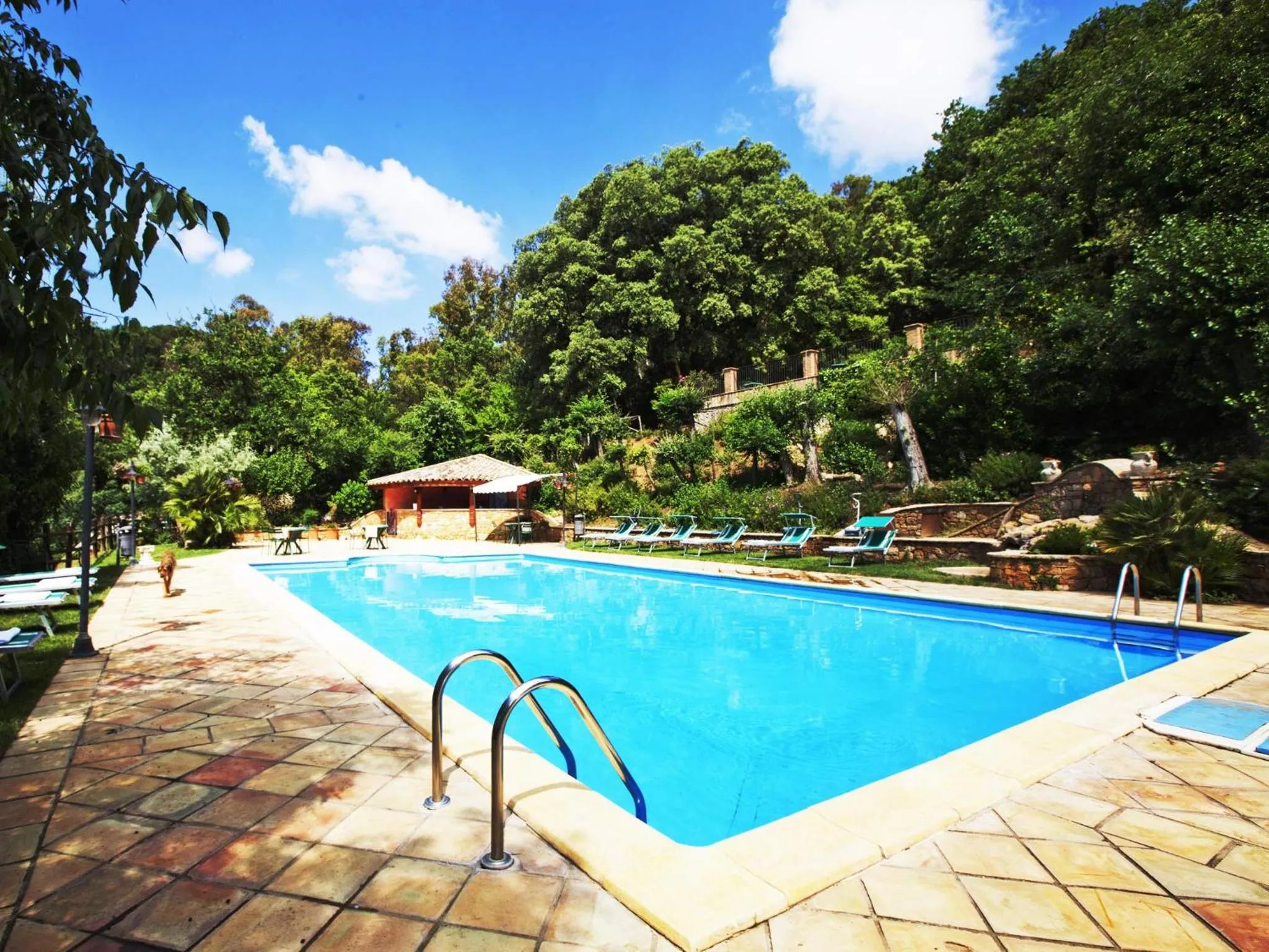 Swimming pool in Torre di Renda