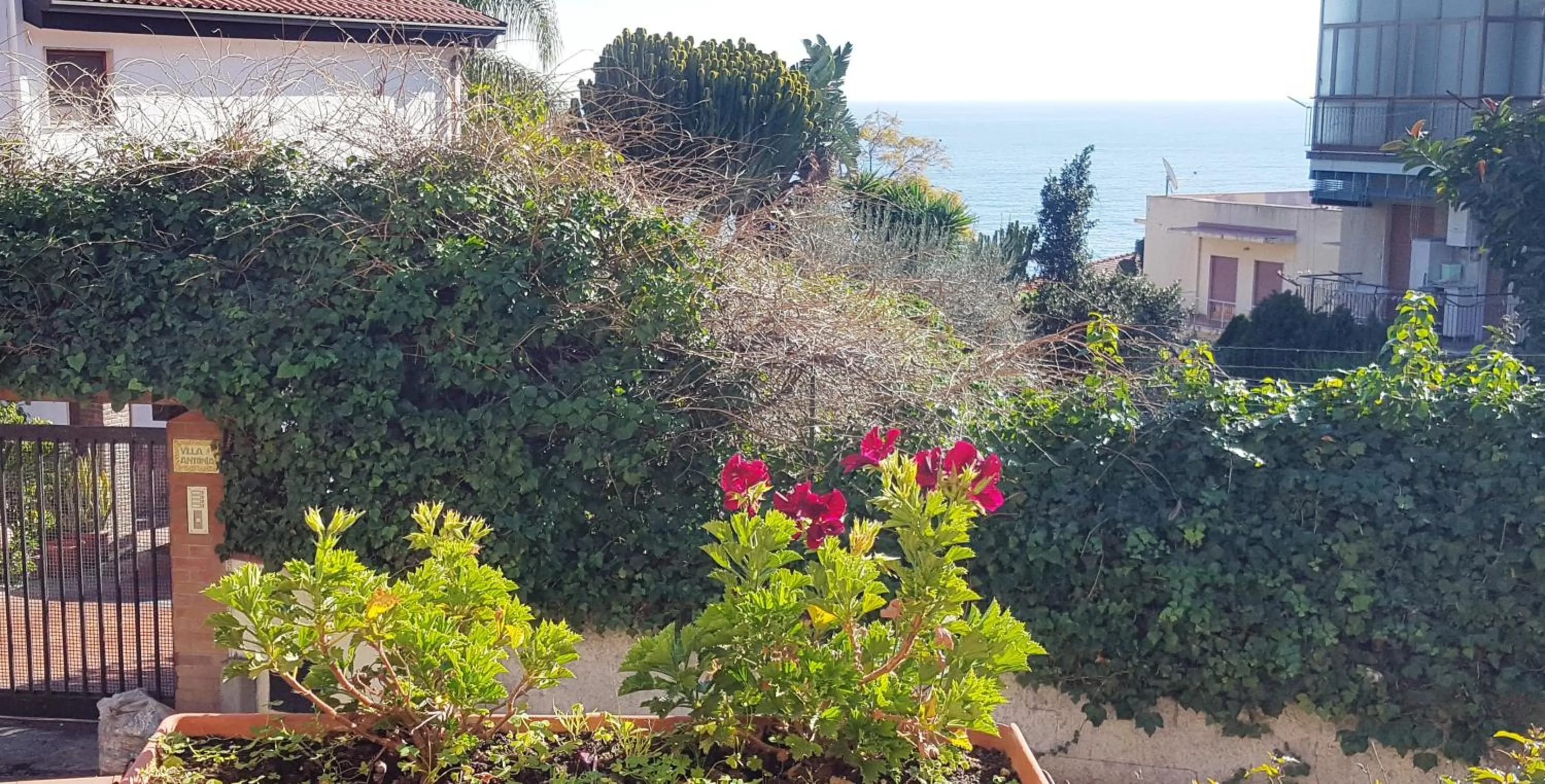 Spring in B&B Stella Marina