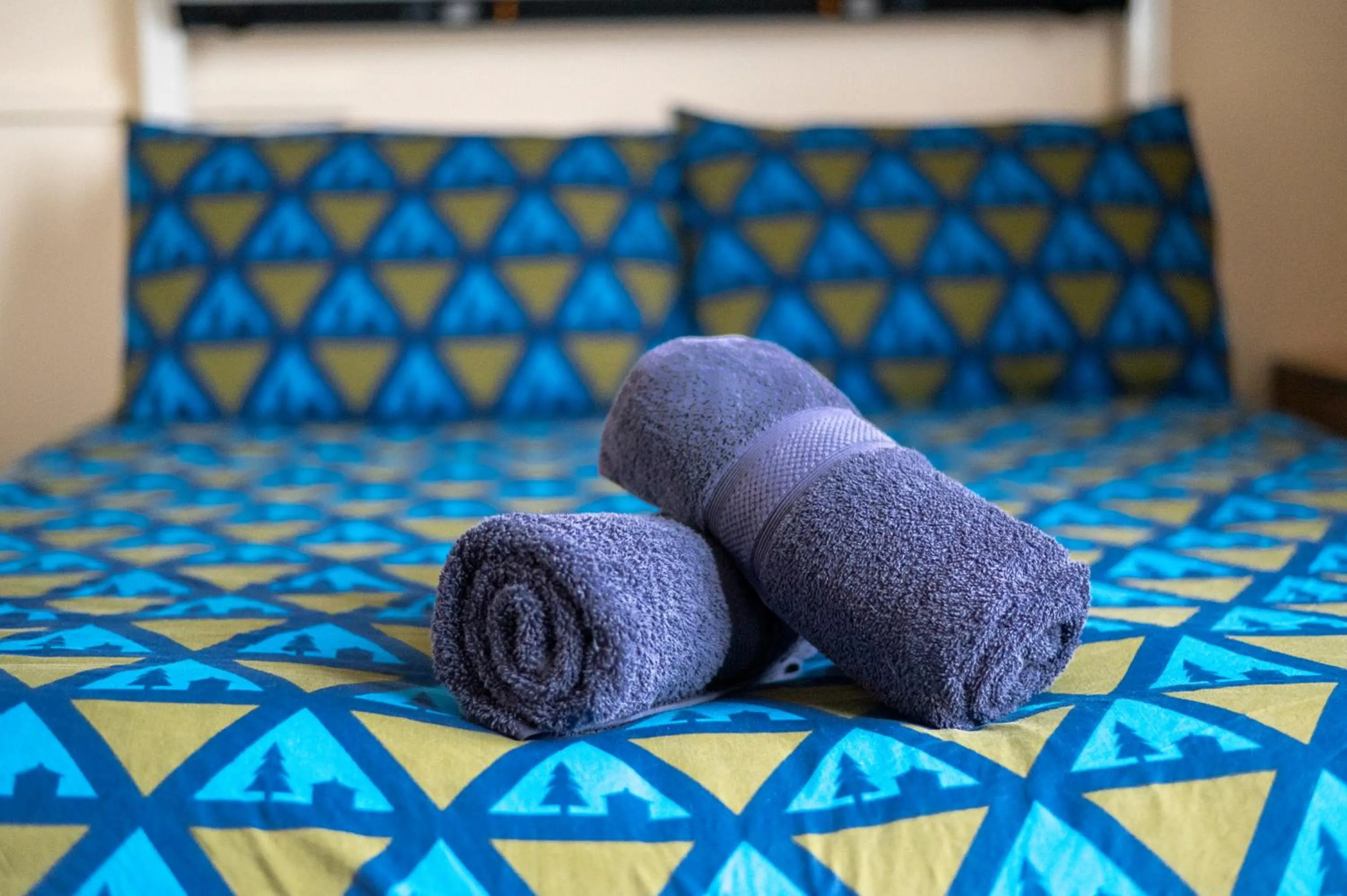 Bedroom, Bed in Glasgow Youth Hostel