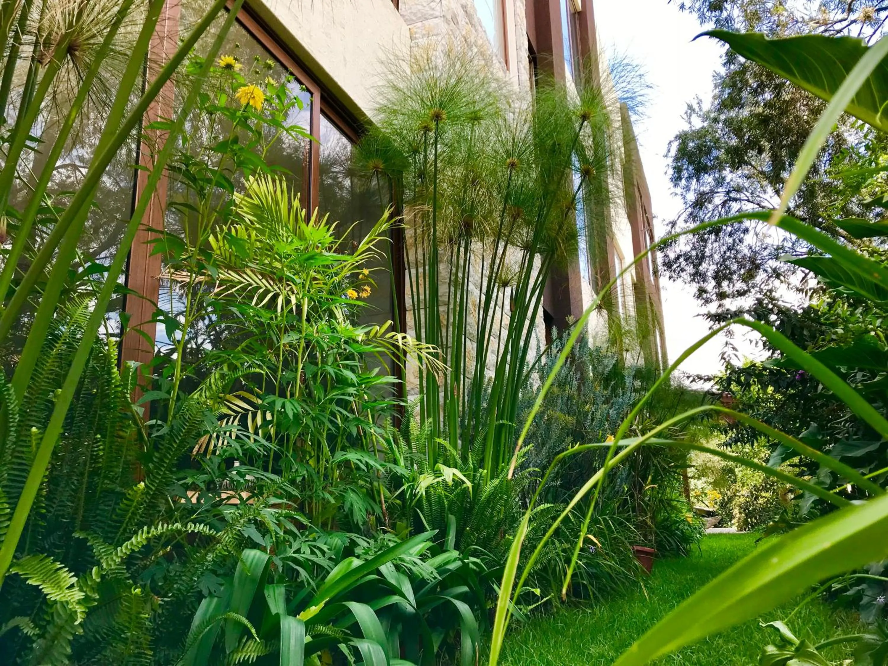 Natural landscape in Ilalo Garden Hotel & Restaurant