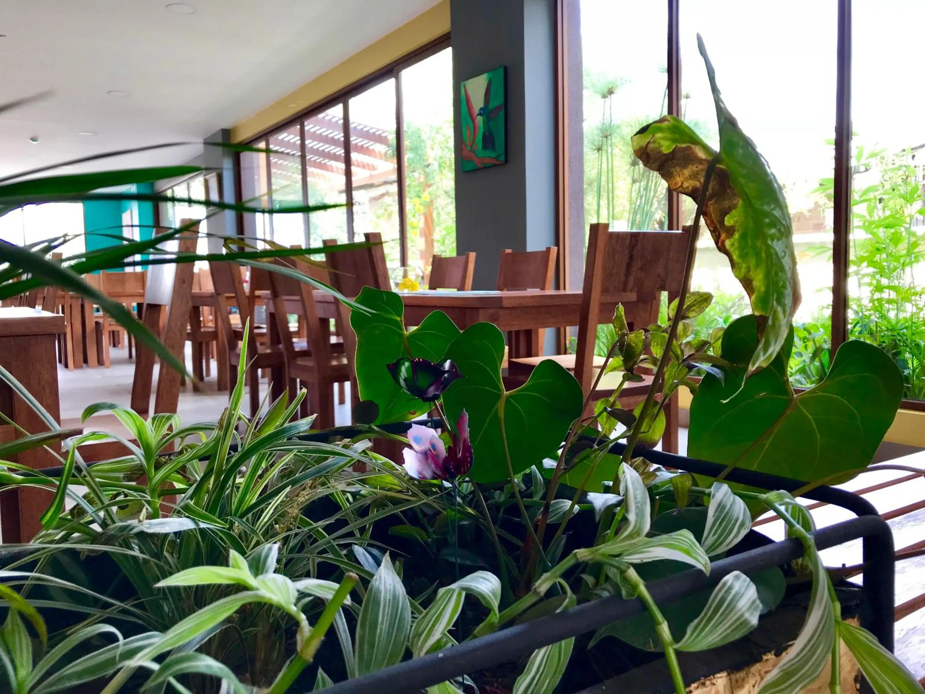 Restaurant/places to eat in Ilalo Garden Hotel & Restaurant