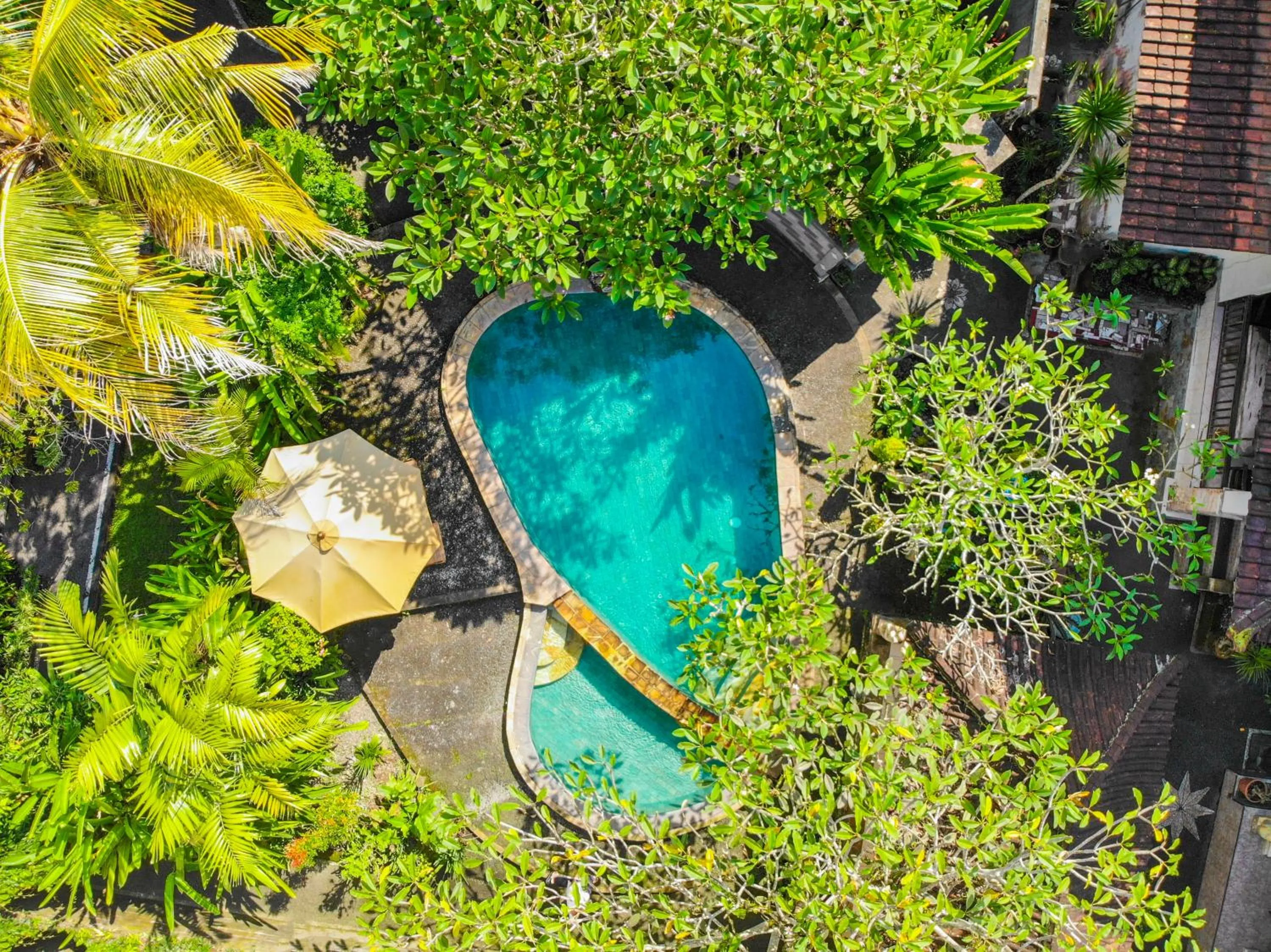 Bird's eye view in Sari Bamboo Bungalows