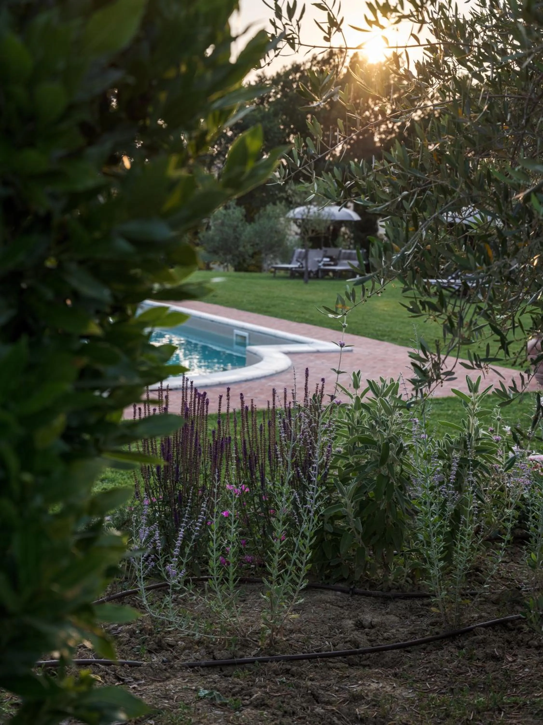 Swimming pool in Borgo Argenina