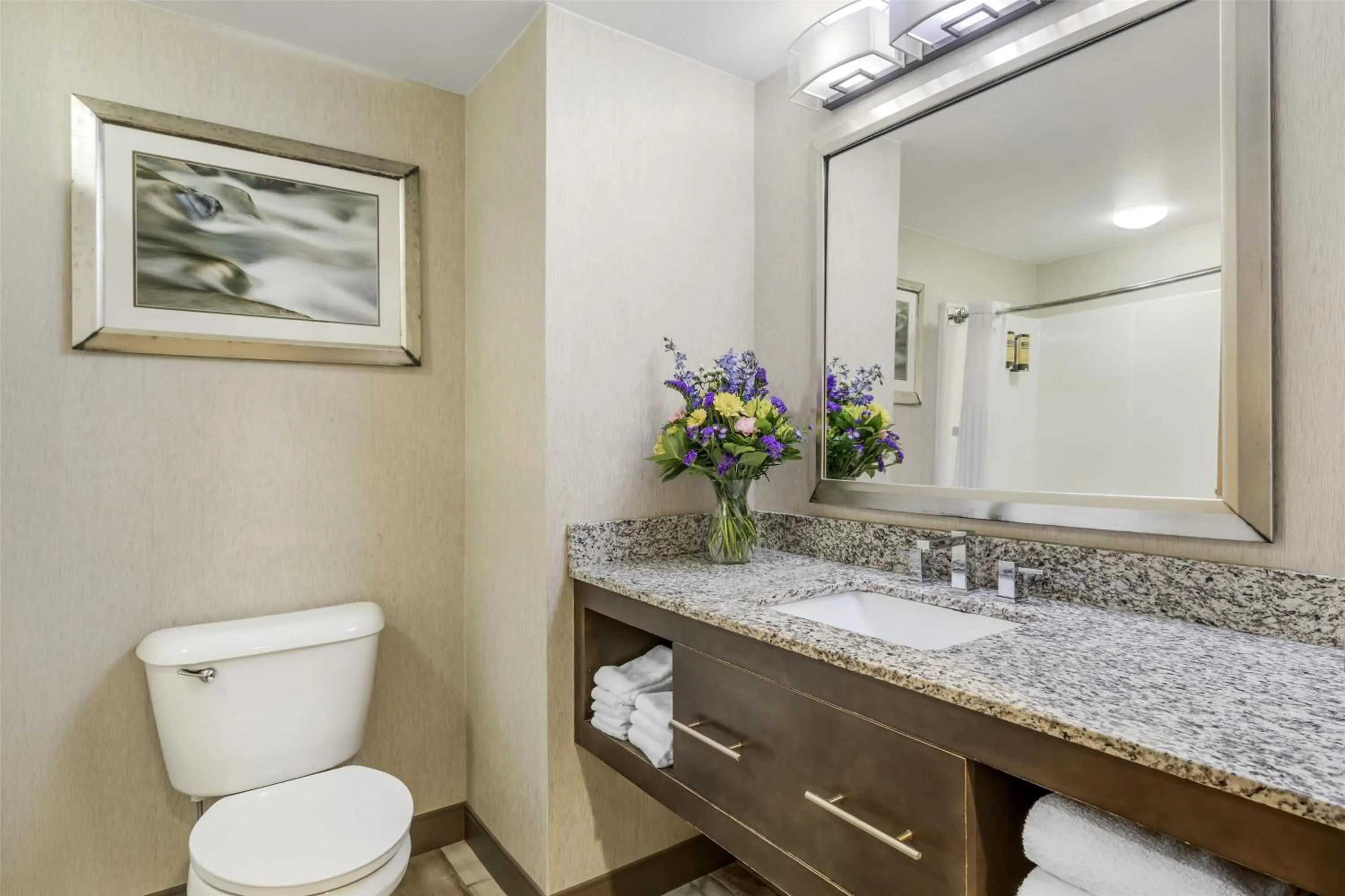 Bathroom in Best Western Plus River Escape Sylva / Dillsboro