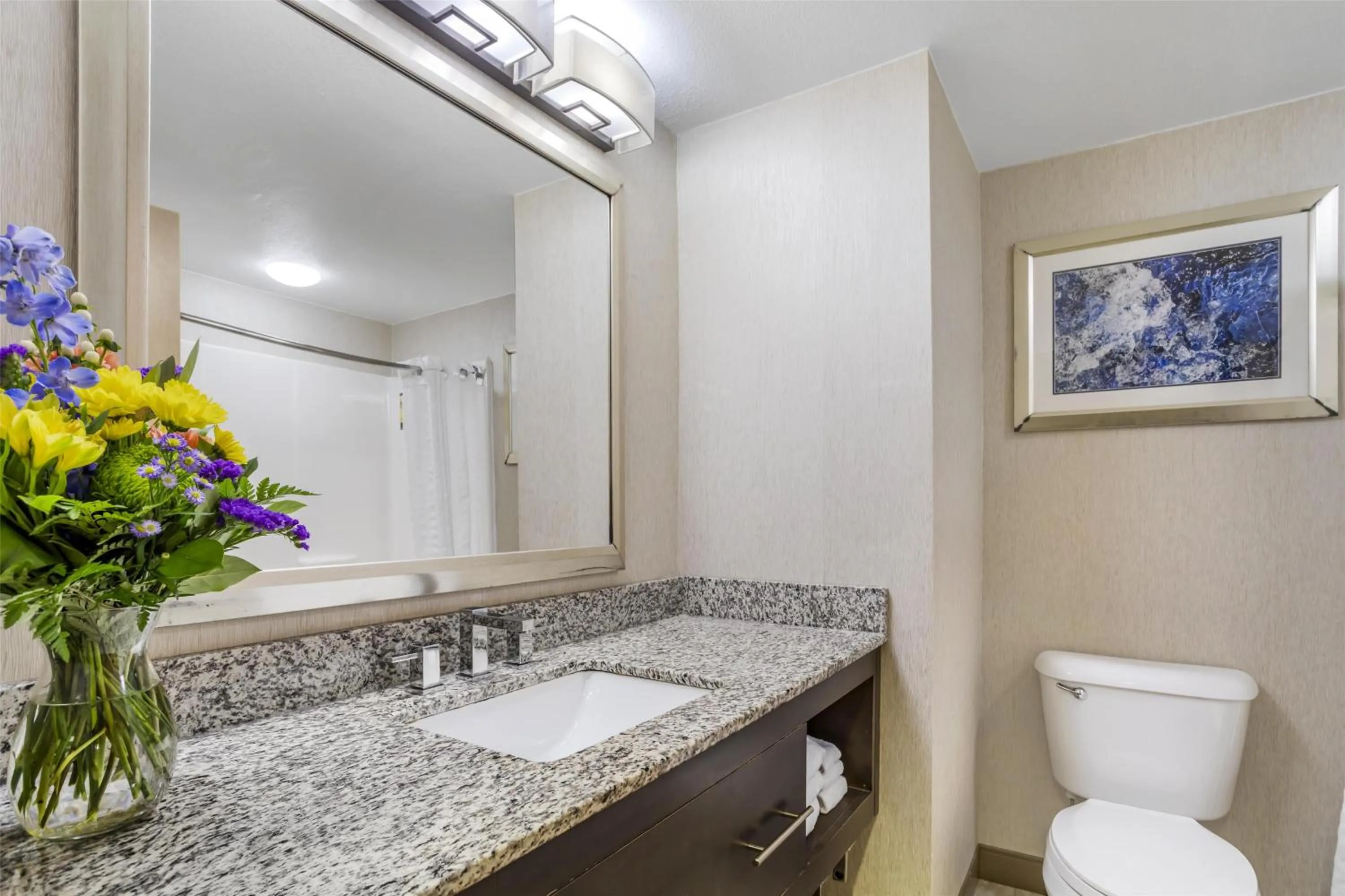 Bathroom in Best Western Plus River Escape Sylva / Dillsboro