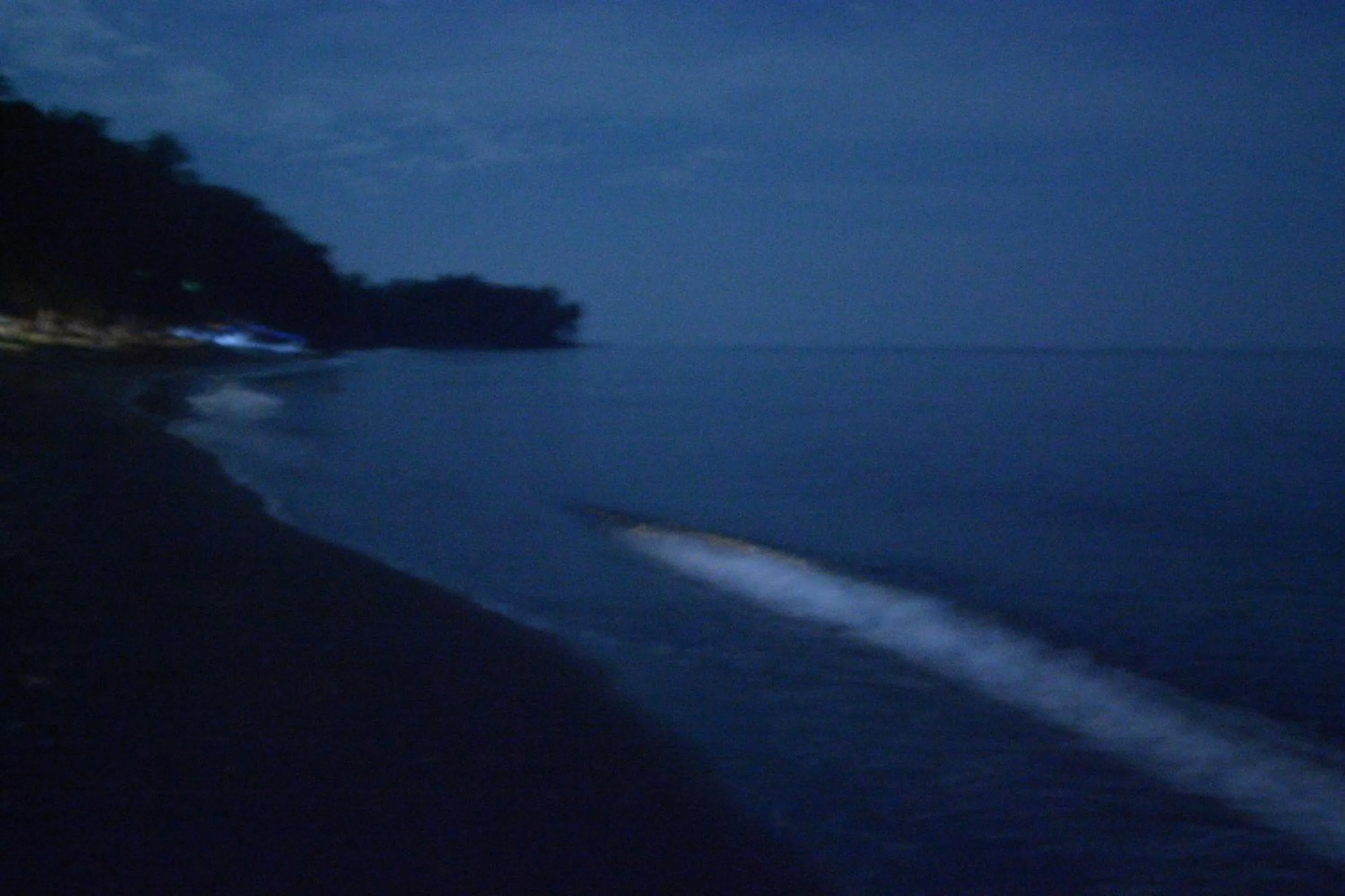 Sunset Springs Beach Retreat