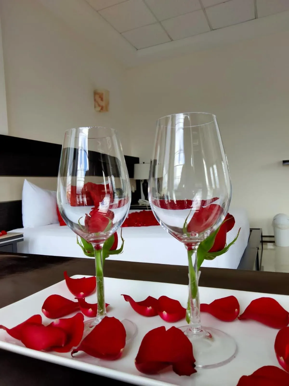 Villa Las Margaritas Caxa