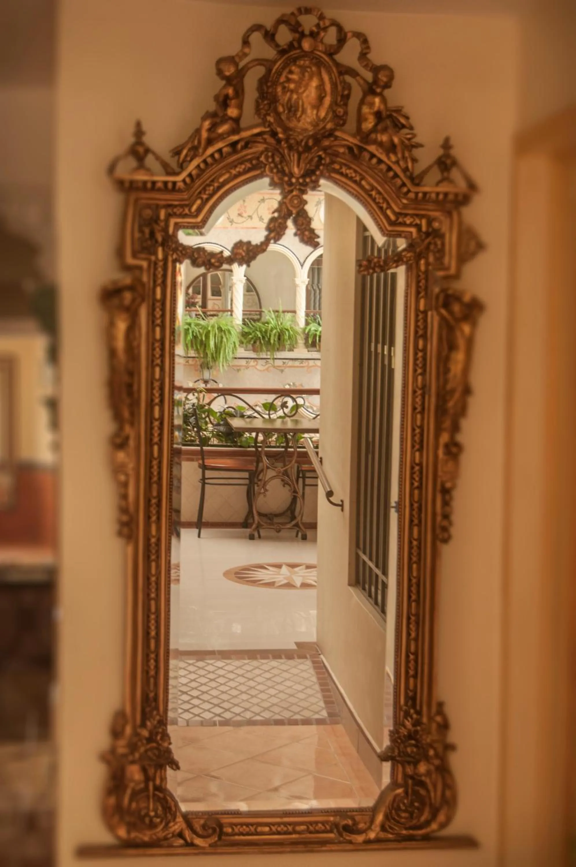 Area and facilities in Villa Las Margaritas Caxa