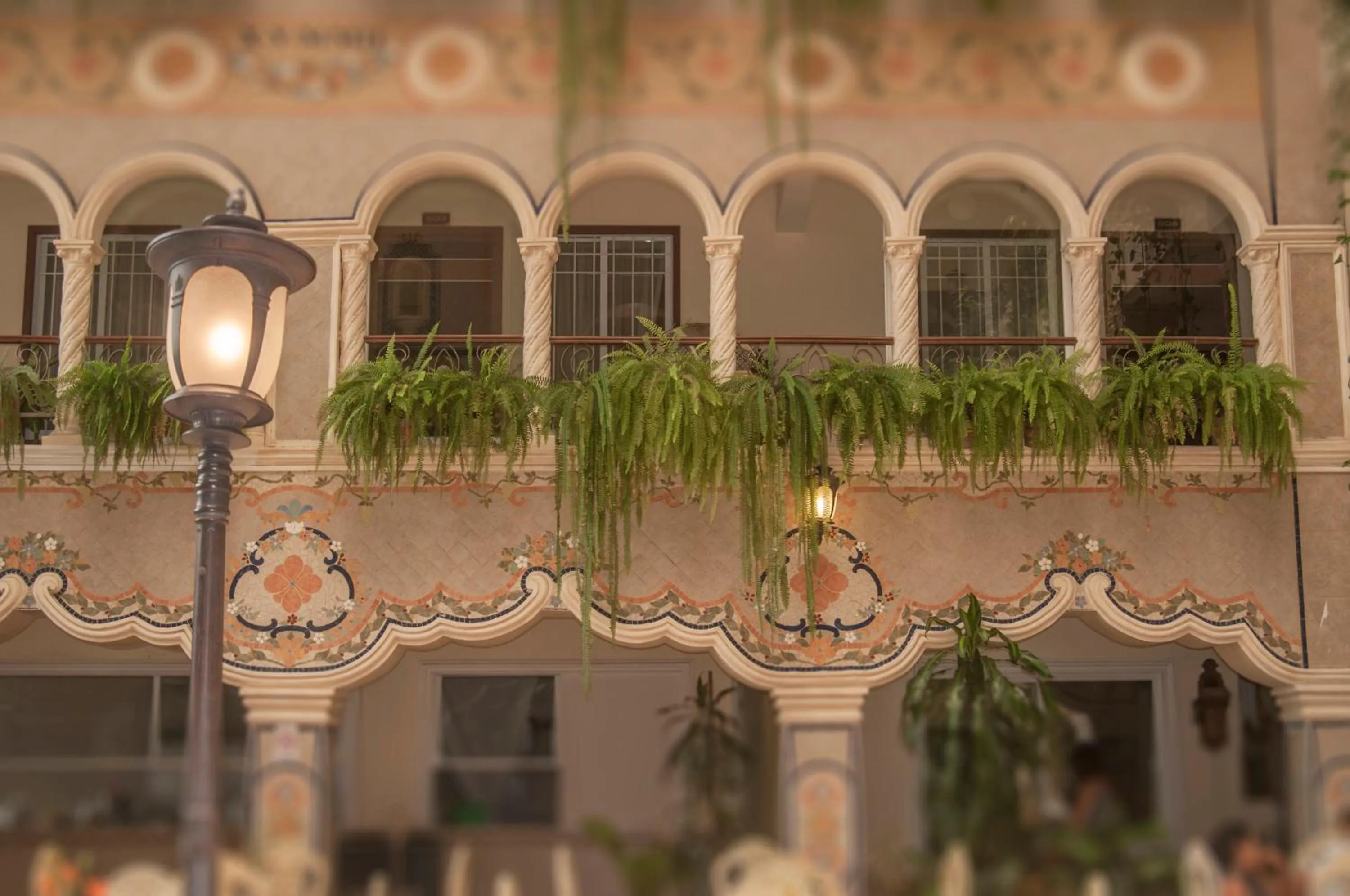 Area and facilities in Villa Las Margaritas Caxa